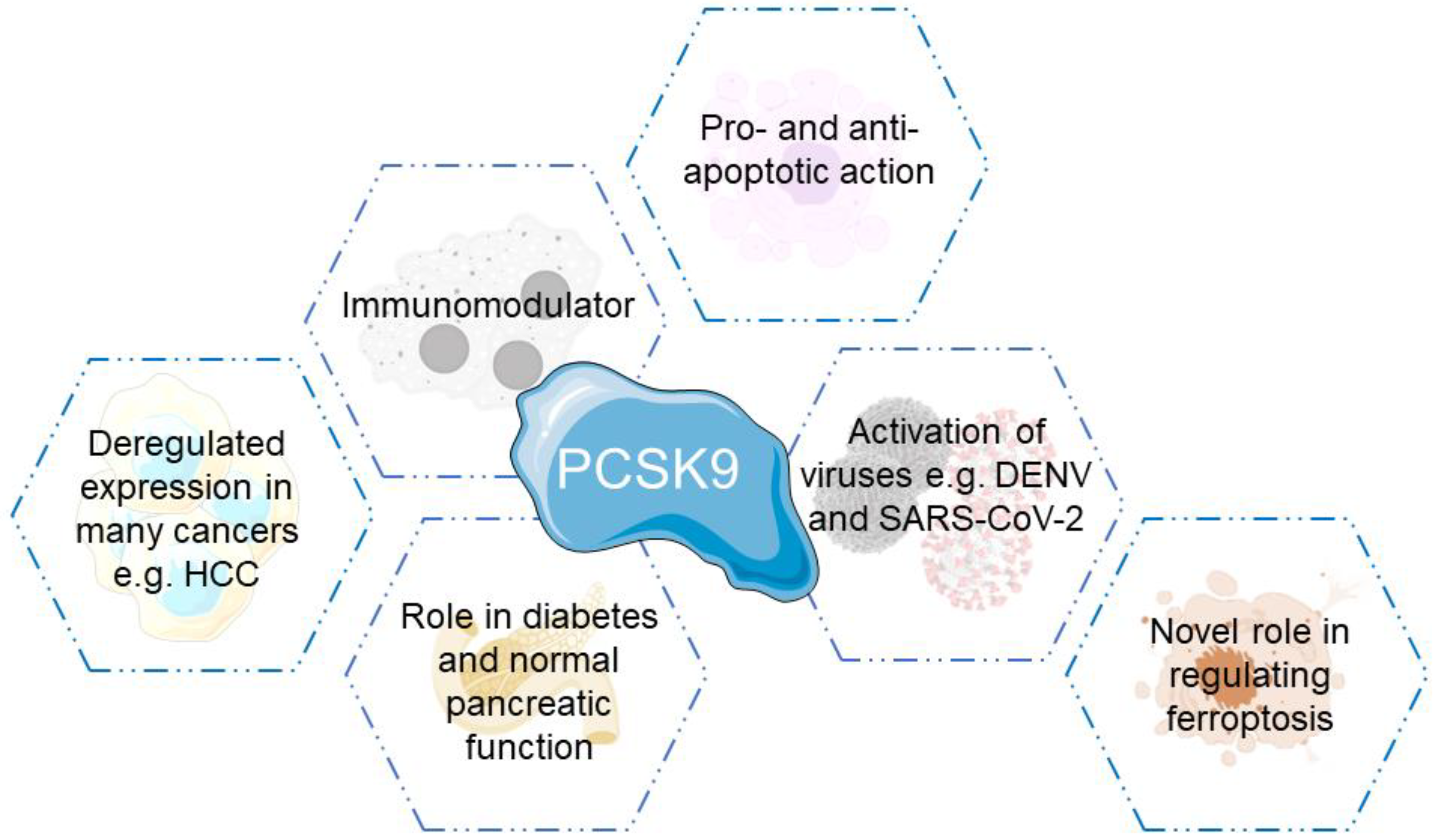 Cells 11 04132 g003 Cells 11 04132 g003