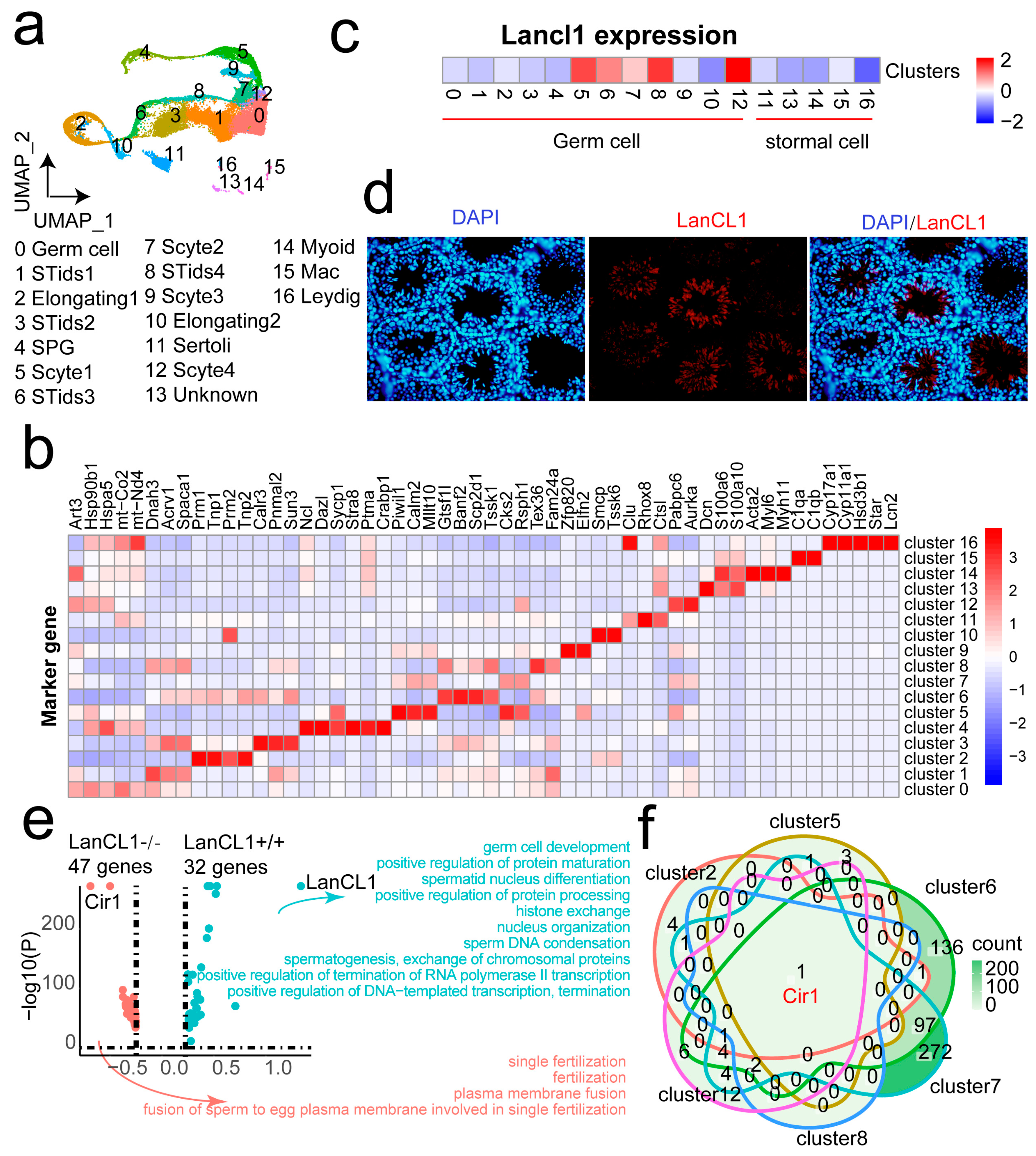 Cells 11 04135 g002 Cells 11 04135 g002