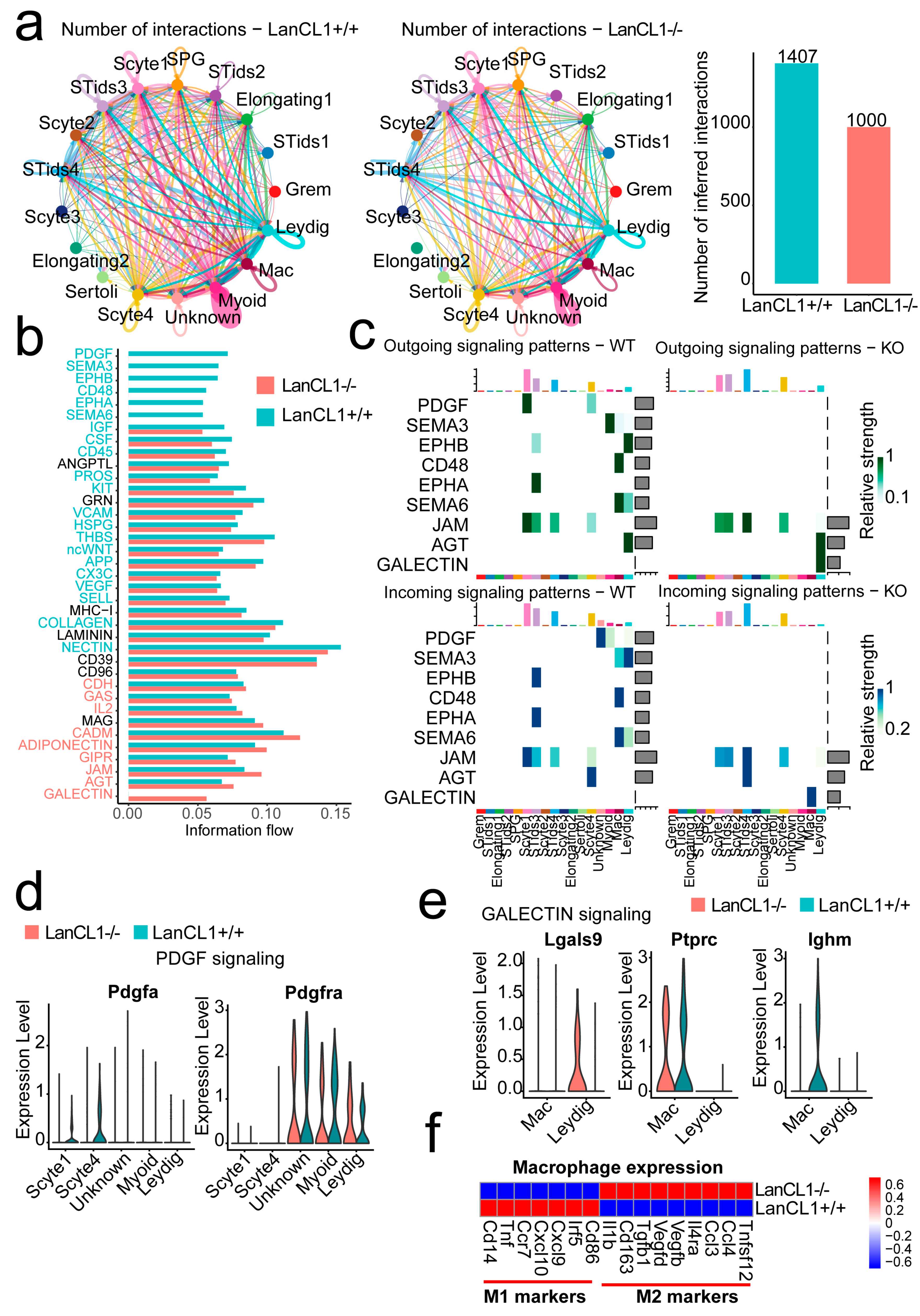 Cells 11 04135 g004 Cells 11 04135 g004