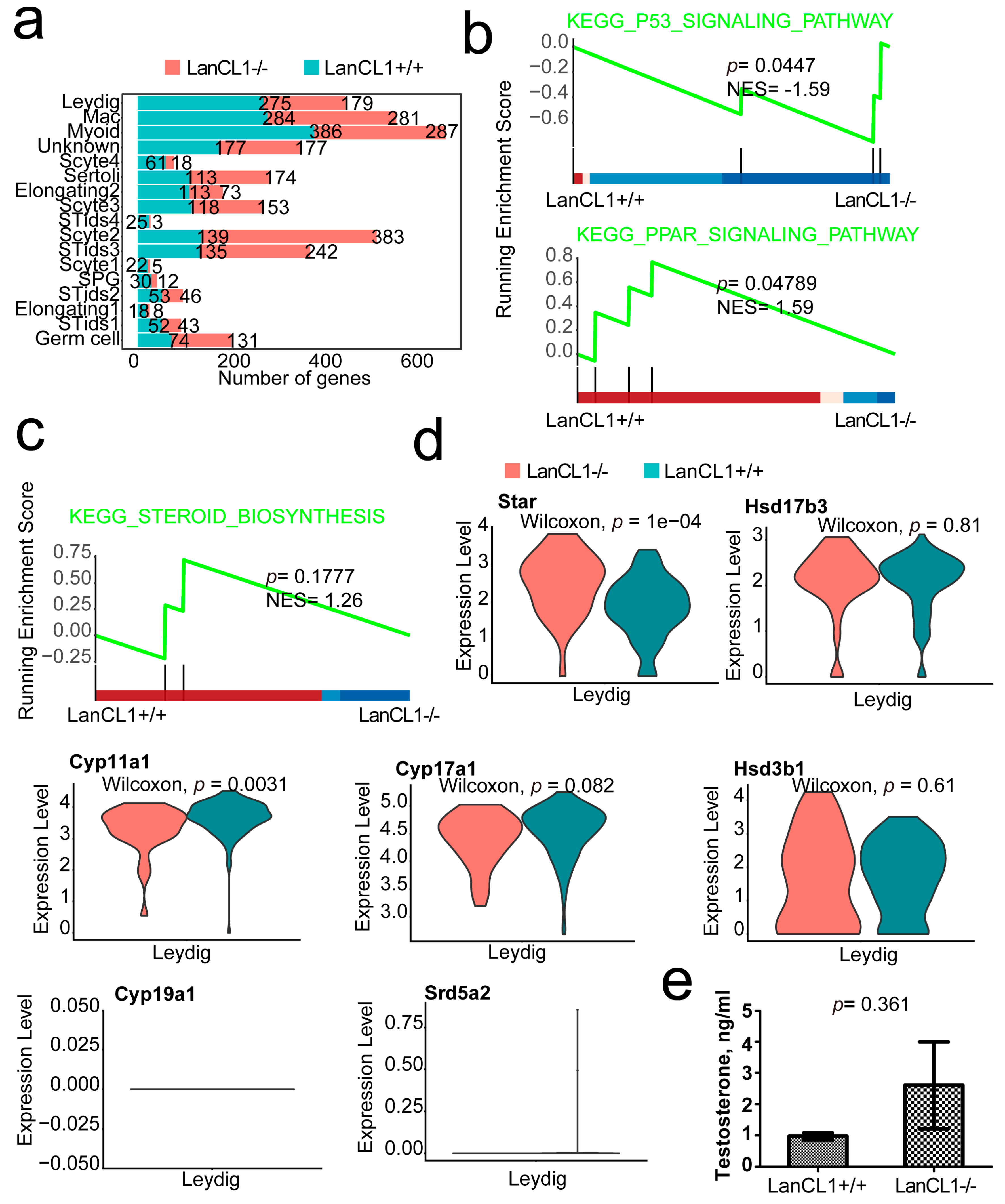 Cells 11 04135 g005 Cells 11 04135 g005