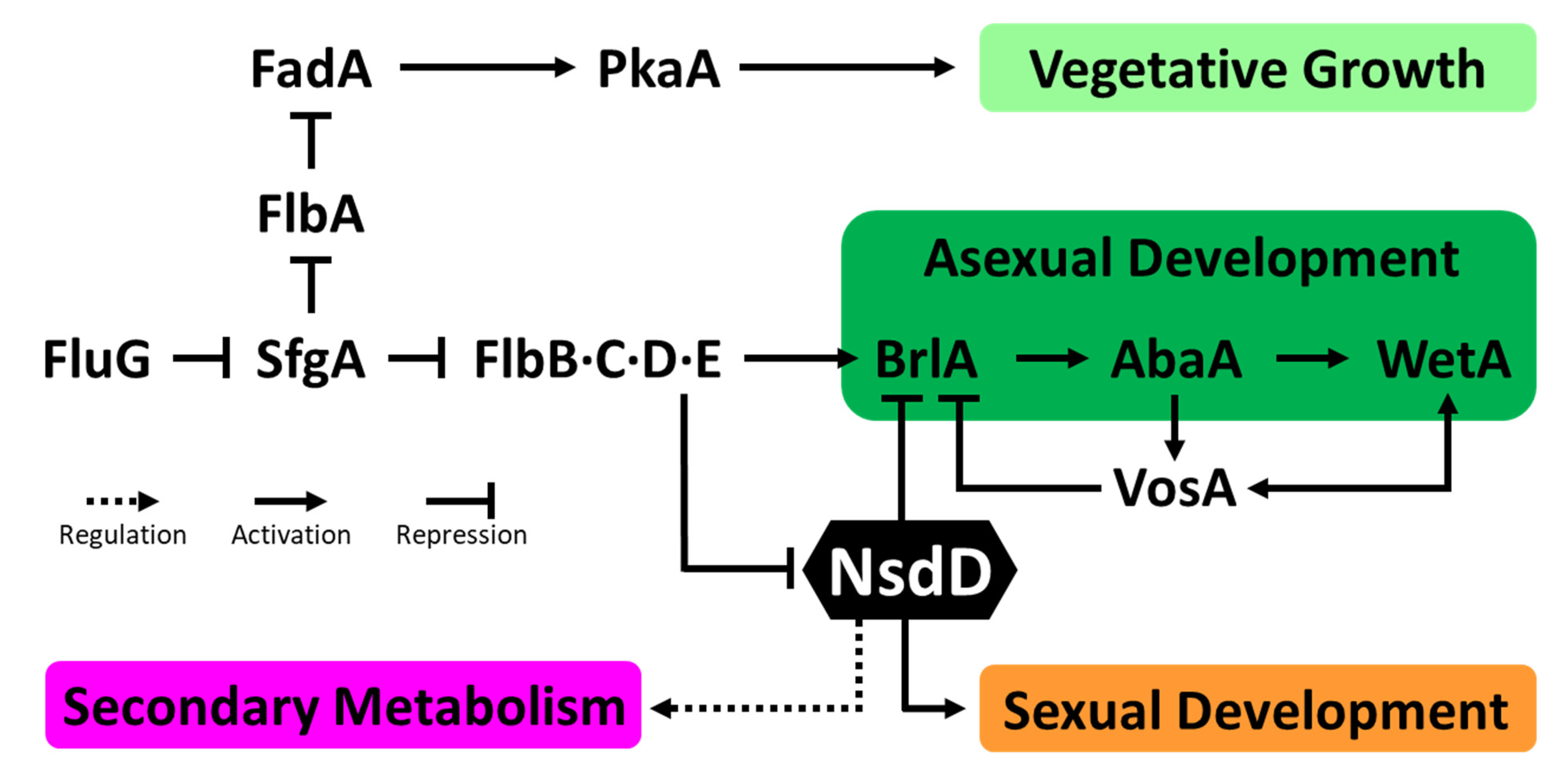 Cells 12 00002 g007 Cells 12 00002 g007