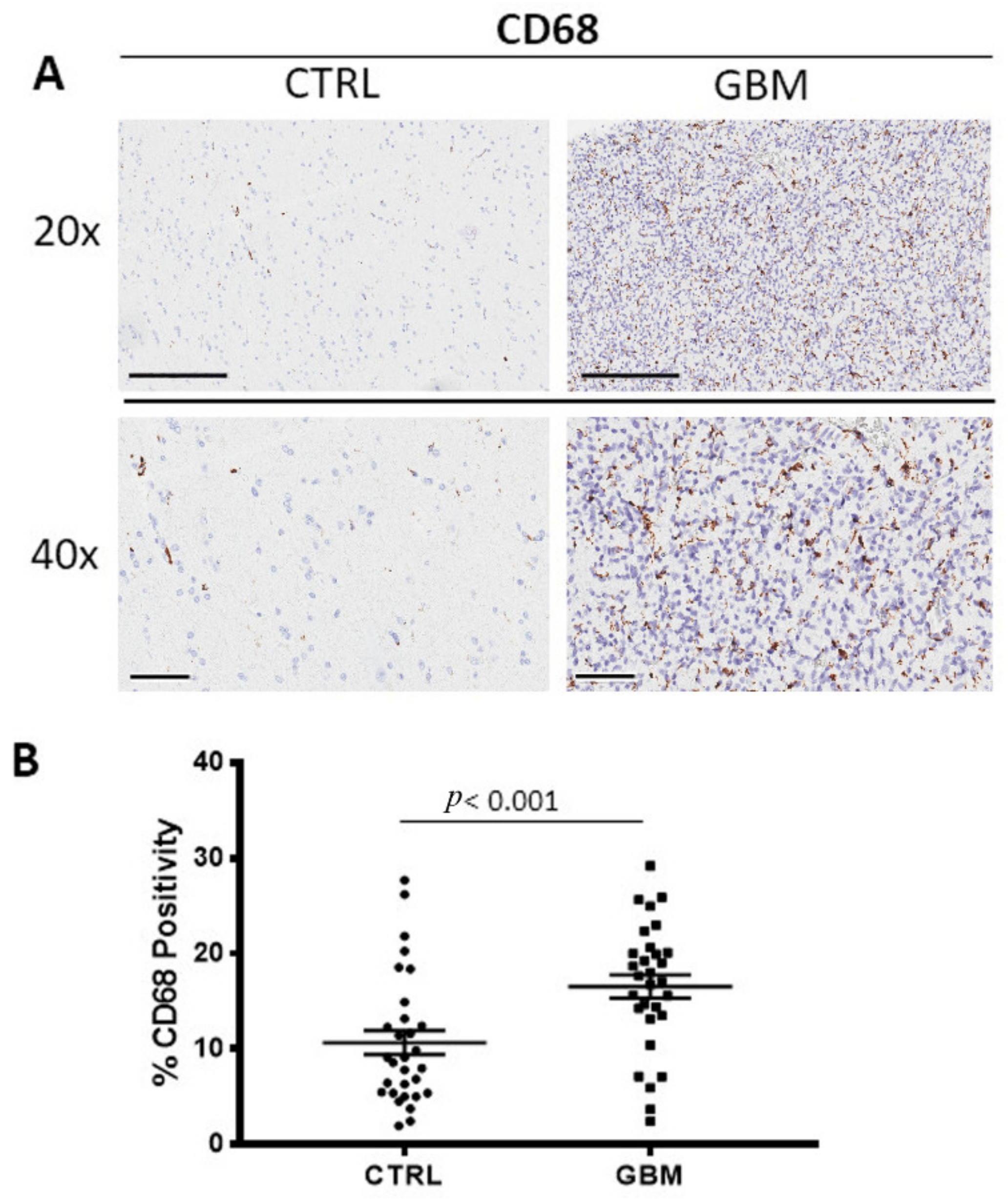 Cells 12 00011 g001 Cells 12 00011 g001