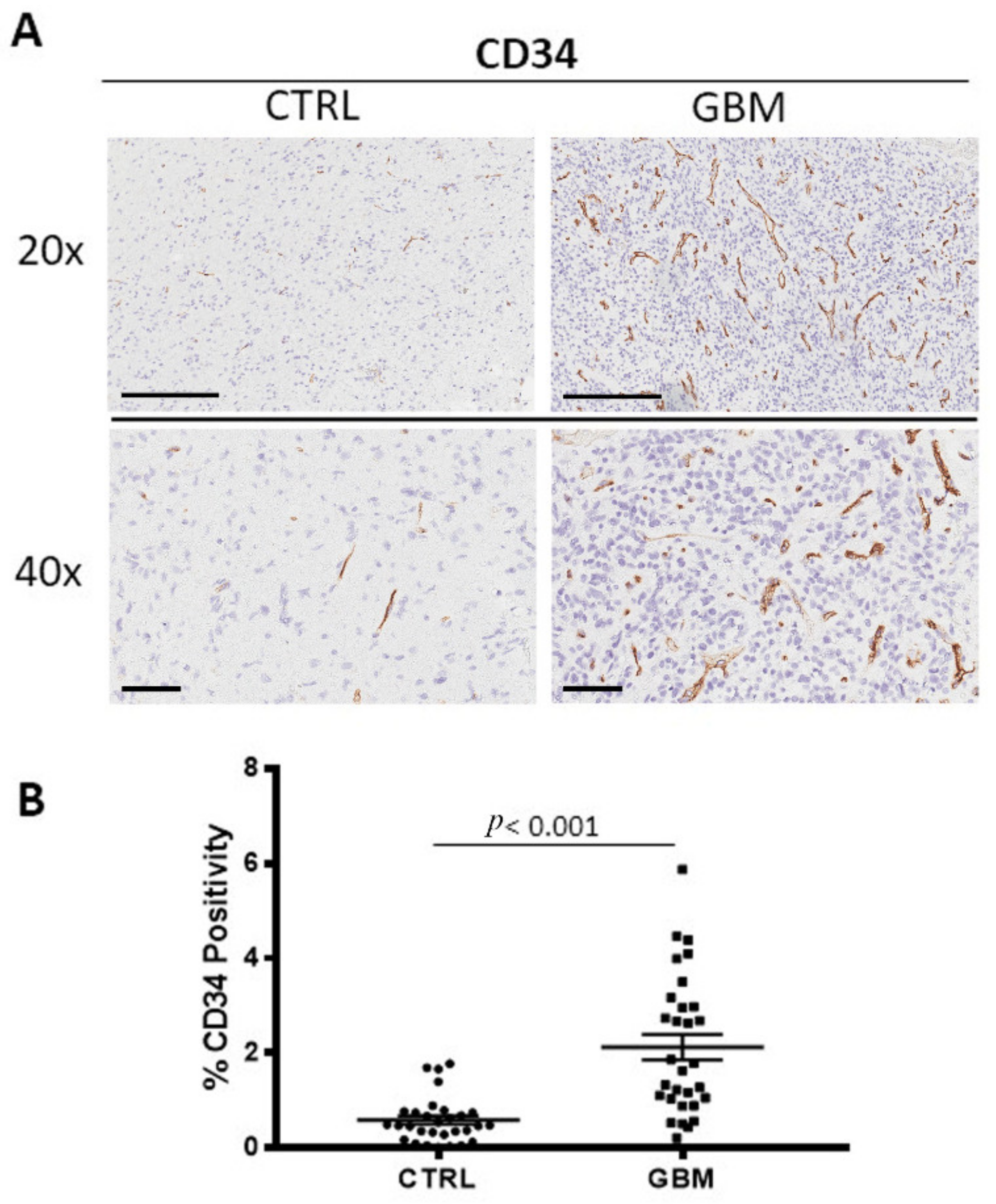 Cells 12 00011 g004 Cells 12 00011 g004