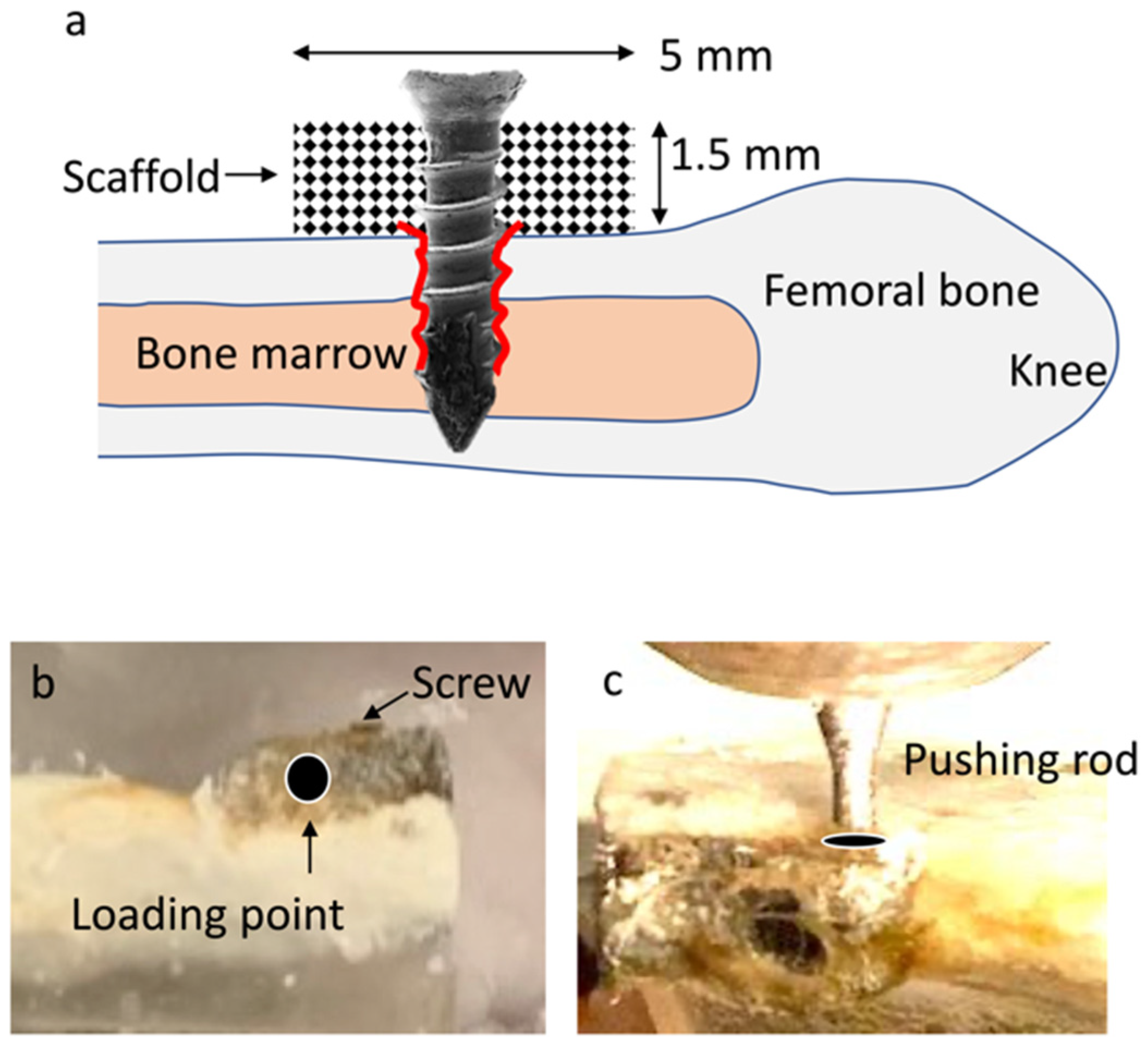 Cells 12 00019 g001 Cells 12 00019 g001