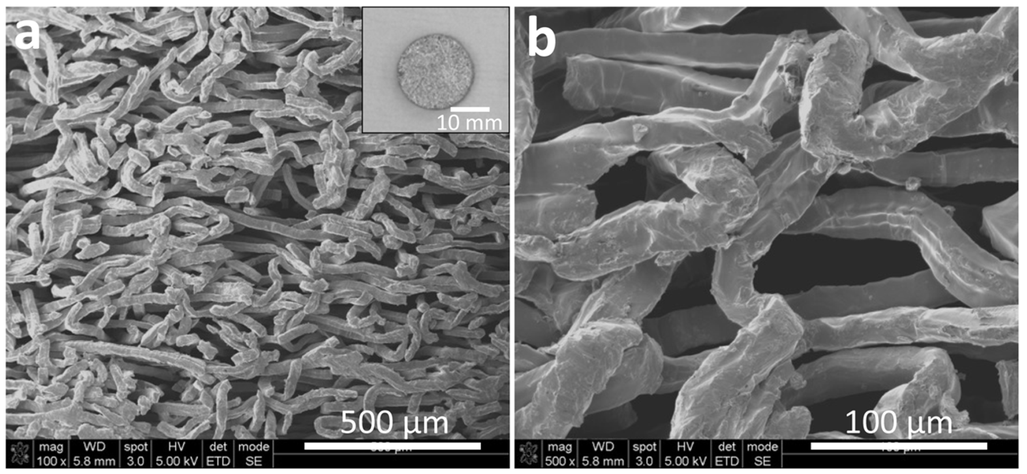 Cells 12 00019 g002 Cells 12 00019 g002