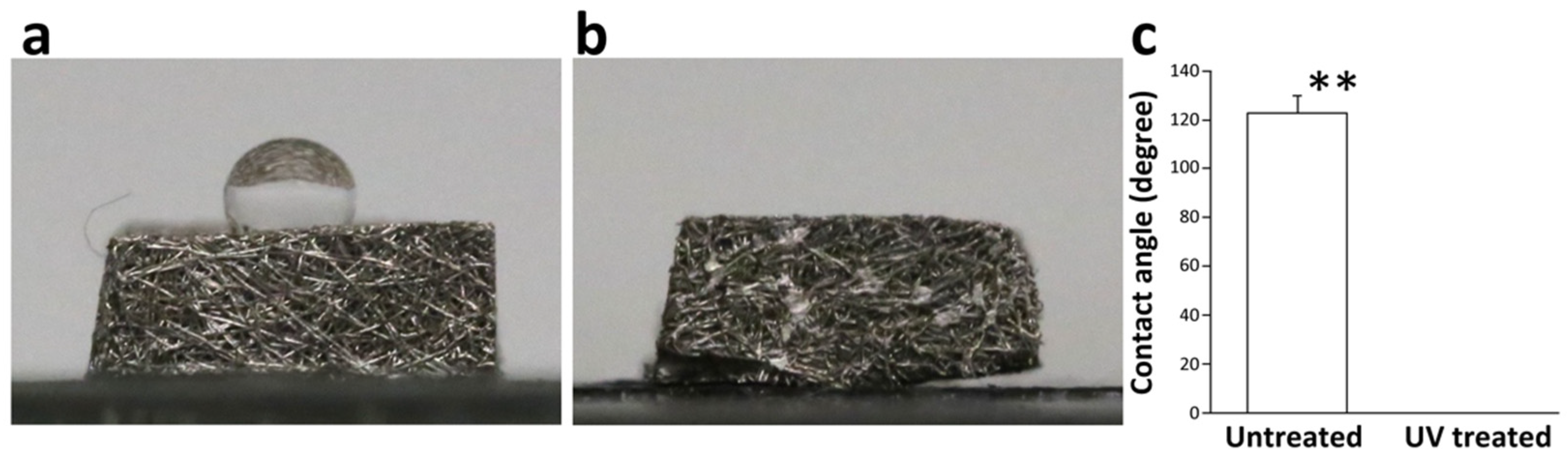 Cells 12 00019 g004 Cells 12 00019 g004
