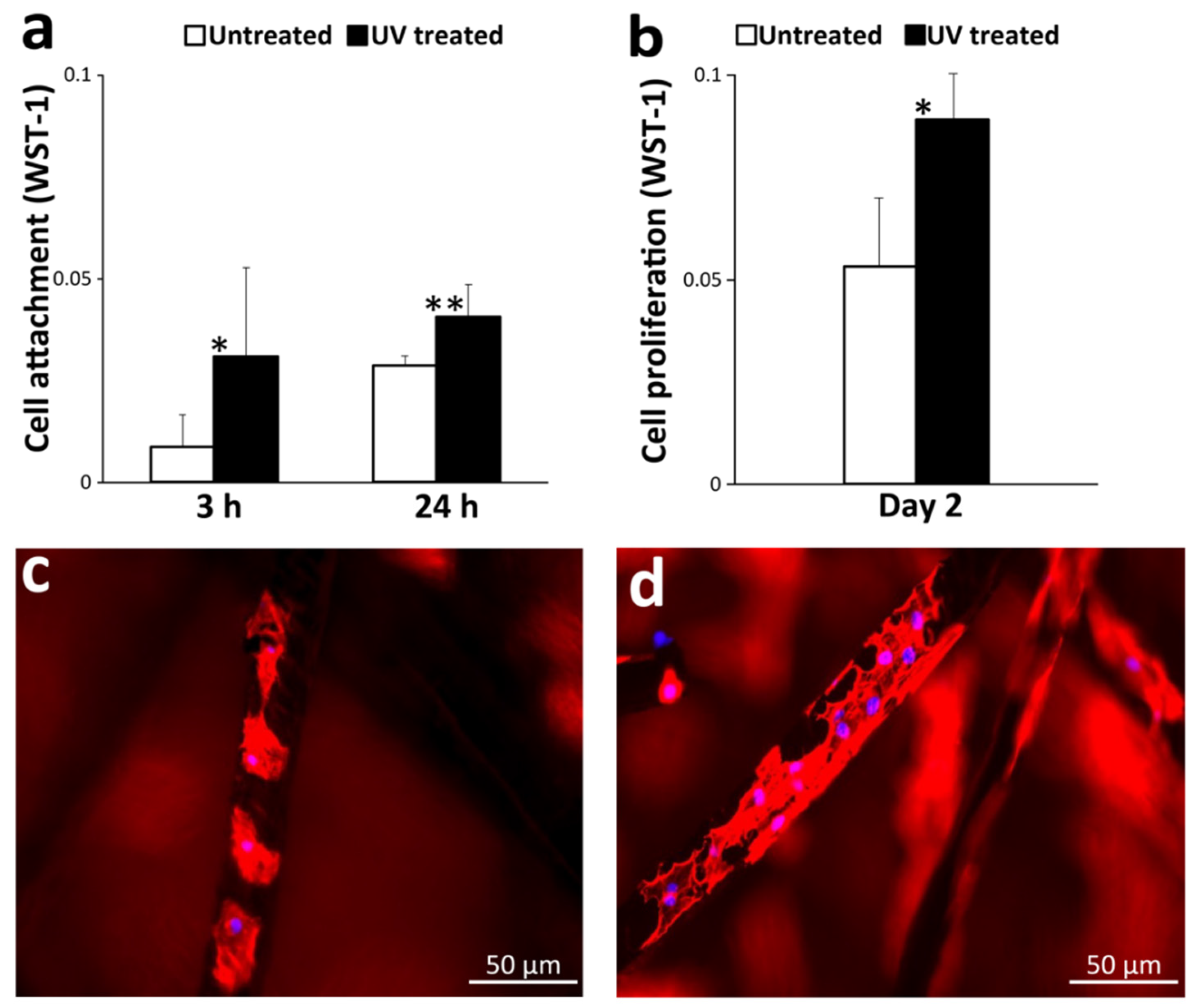 Cells 12 00019 g006 Cells 12 00019 g006