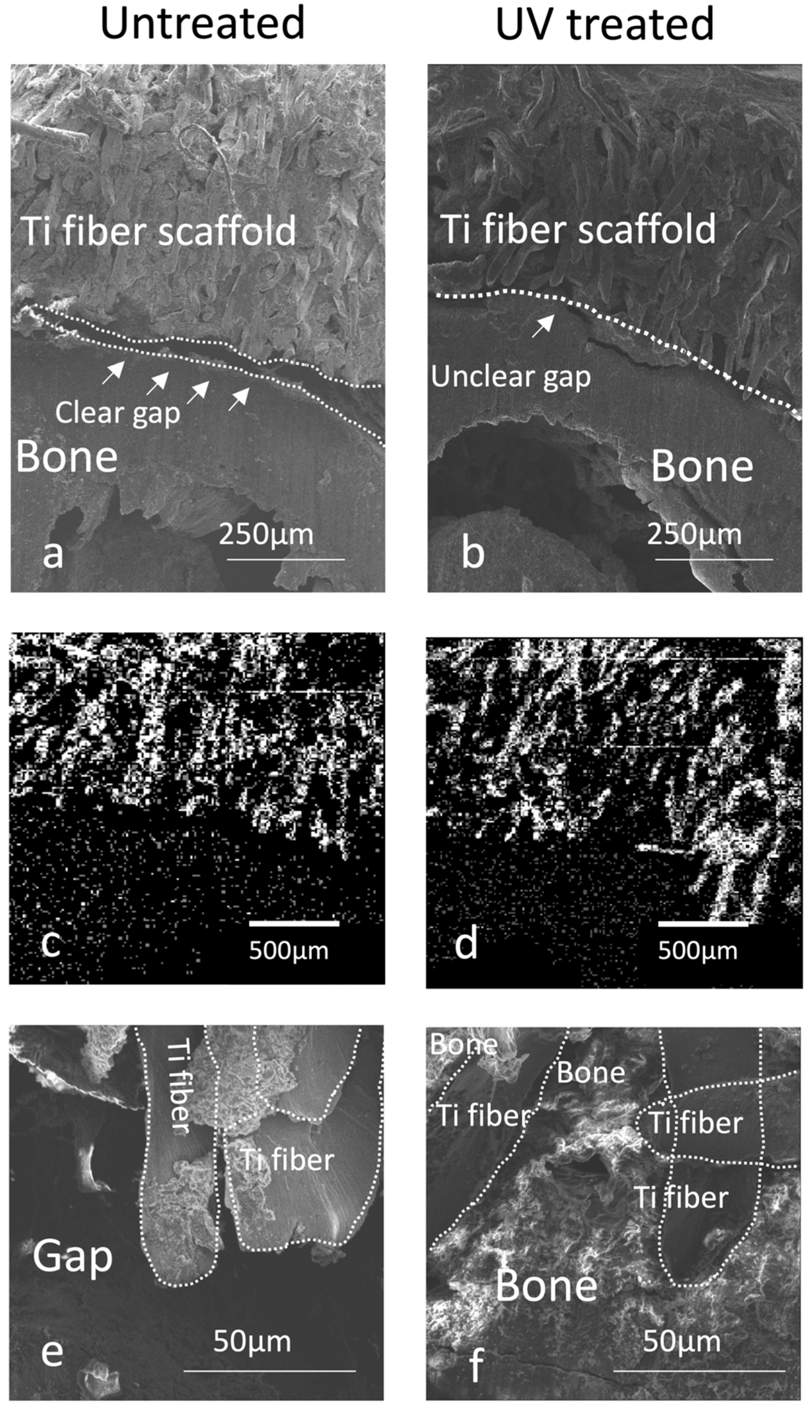 Cells 12 00019 g009 Cells 12 00019 g009