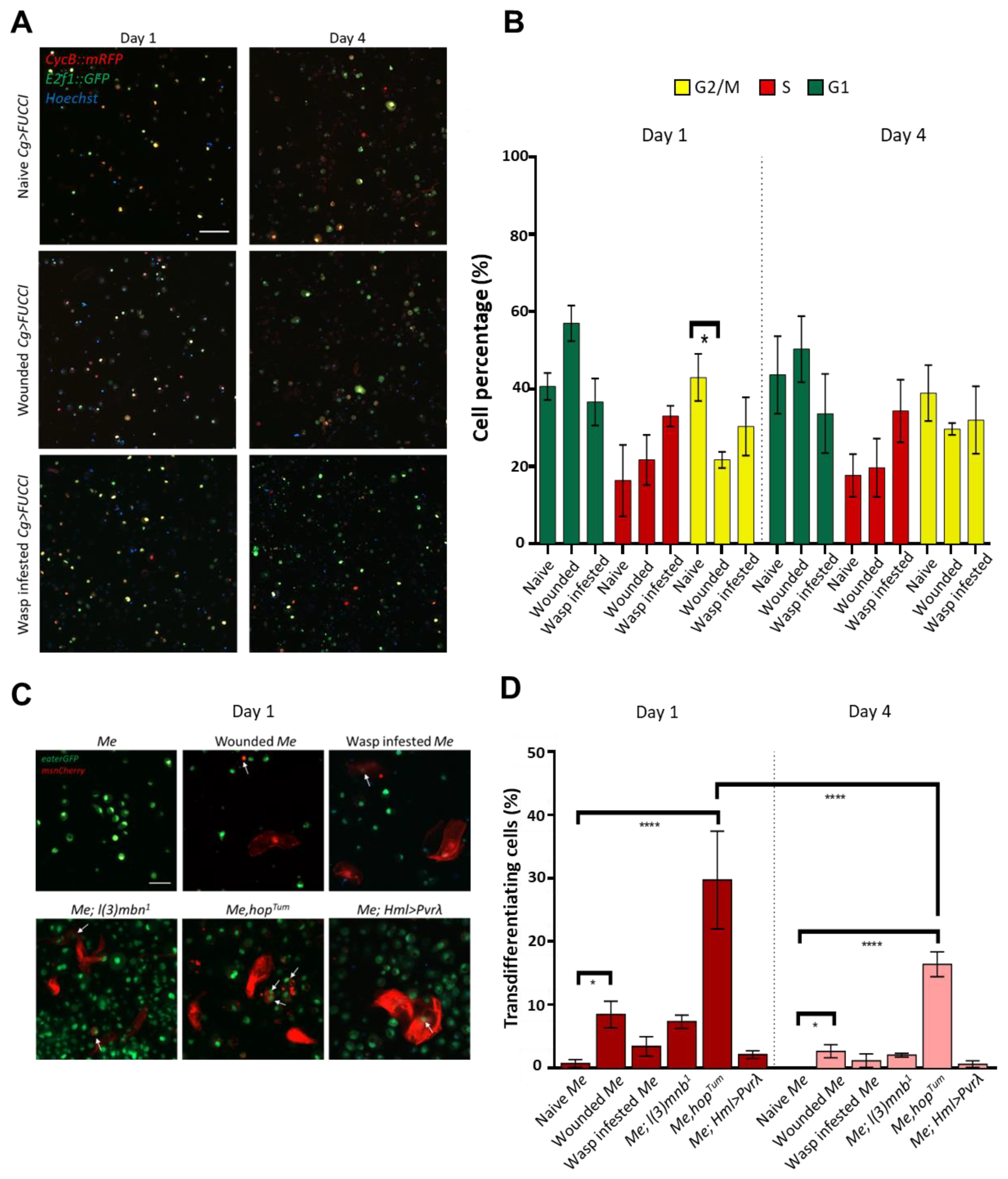 Cells 12 00024 g003 Cells 12 00024 g003