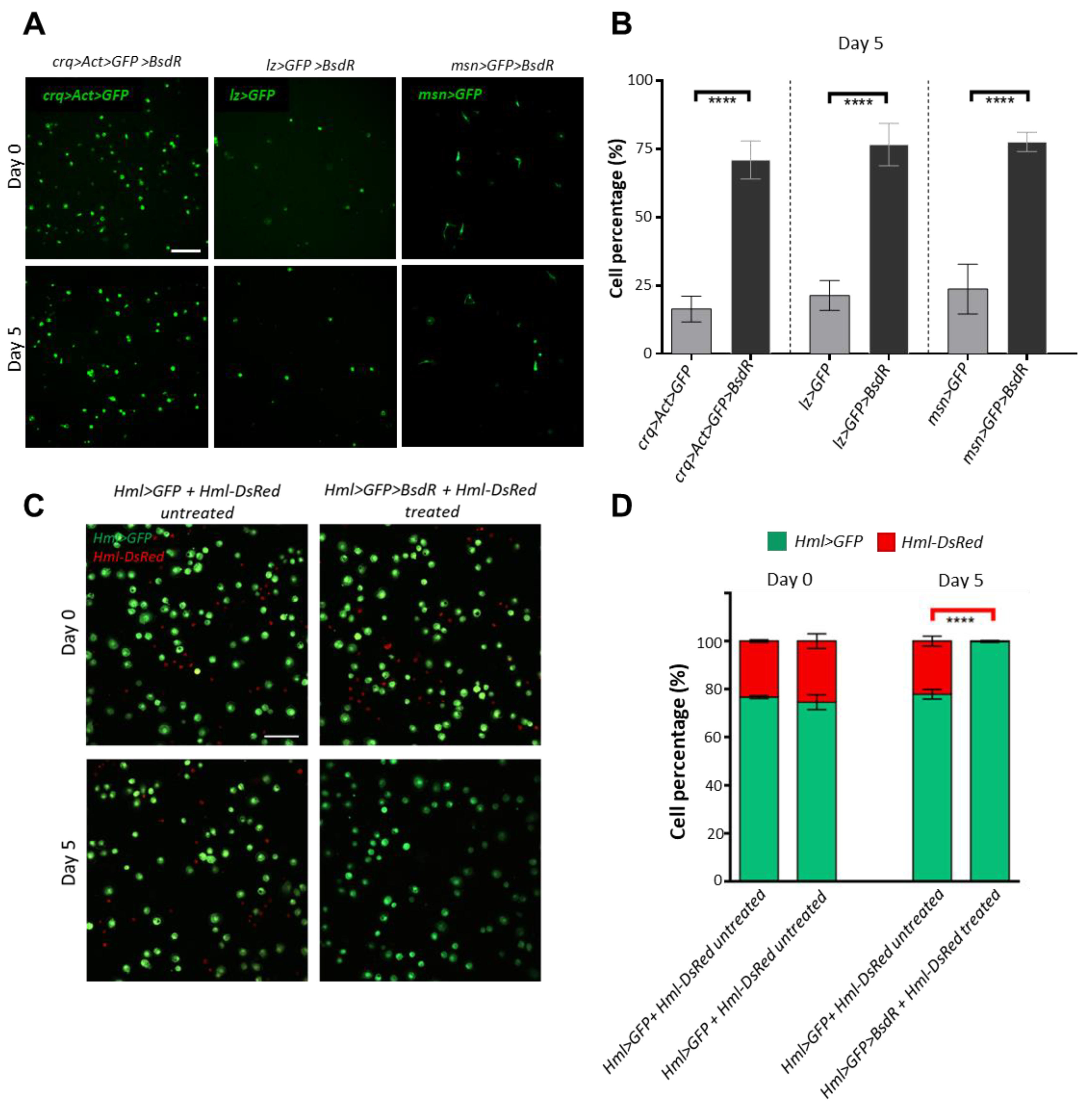 Cells 12 00024 g005 Cells 12 00024 g005
