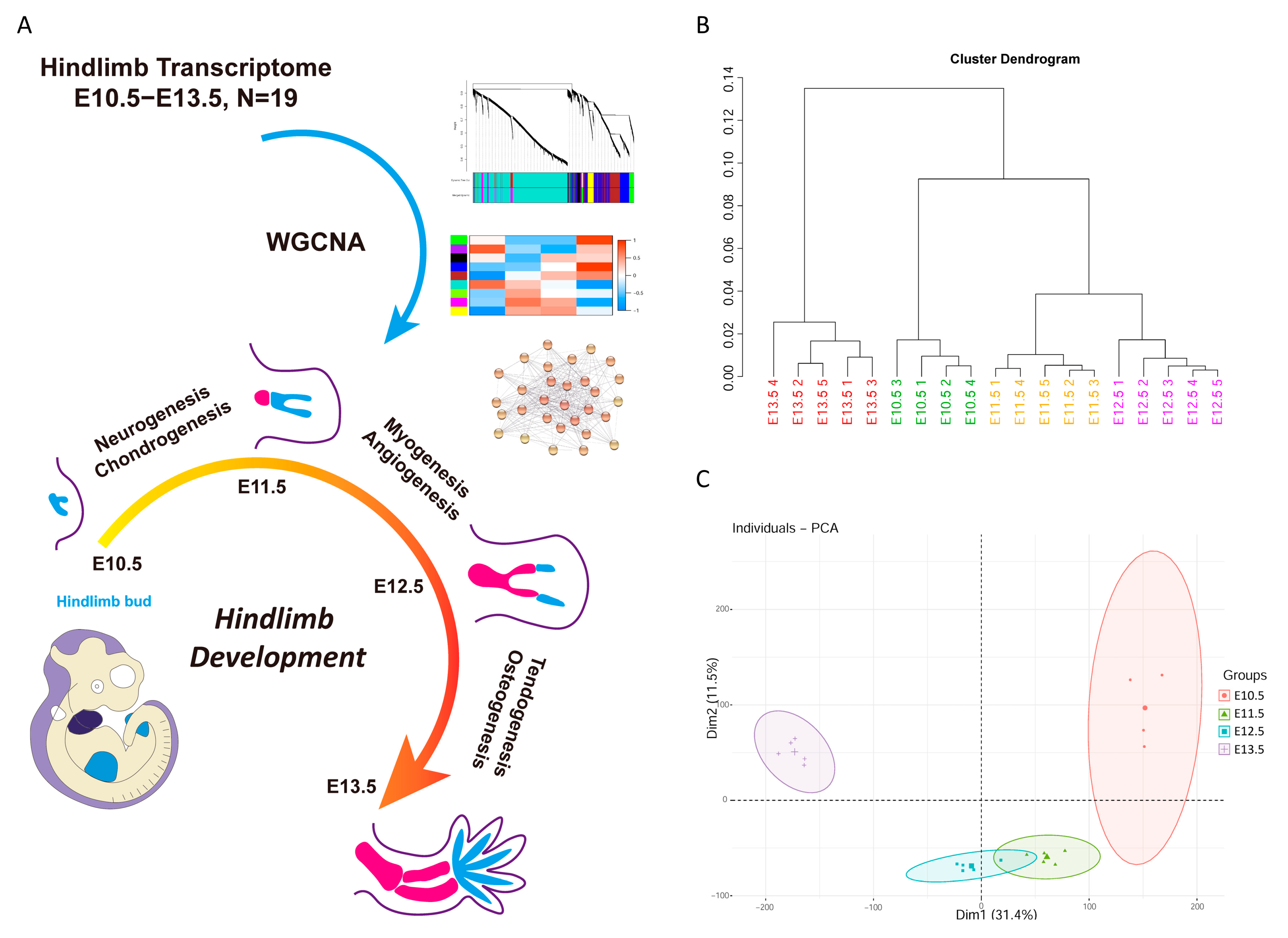 Cells 12 00028 g001 Cells 12 00028 g001