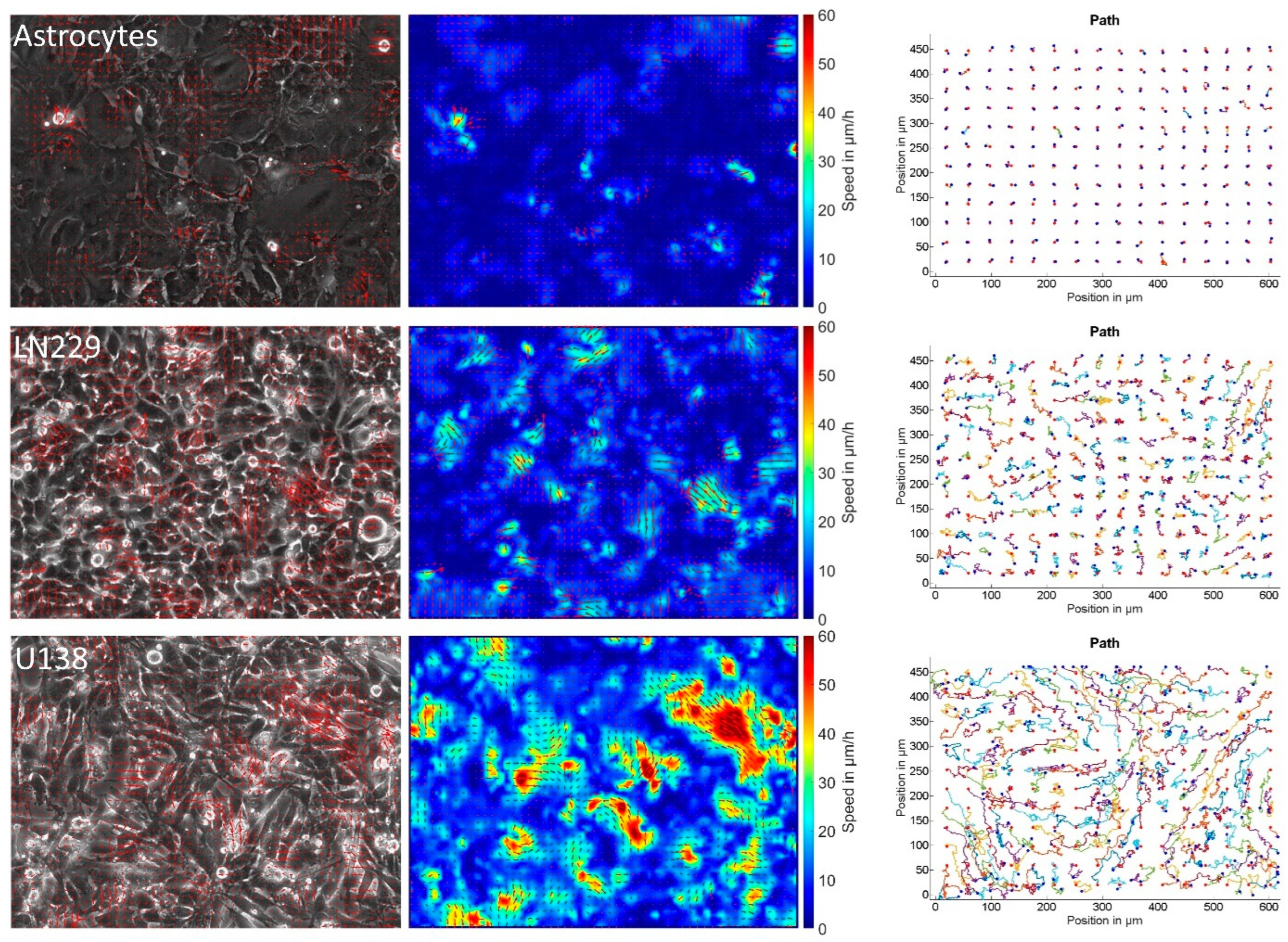 Cells 12 00029 g001 Cells 12 00029 g001