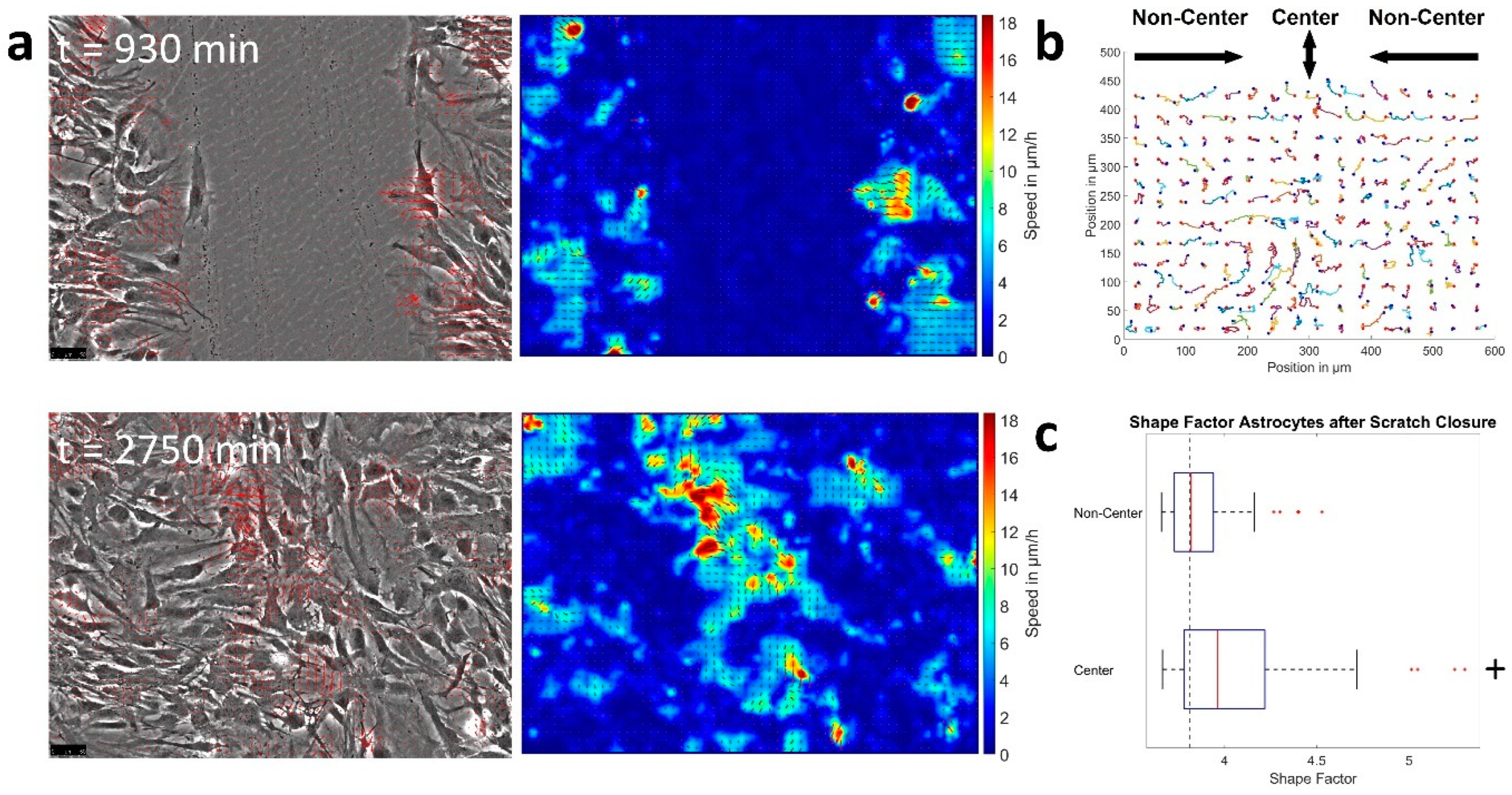 Cells 12 00029 g004 Cells 12 00029 g004