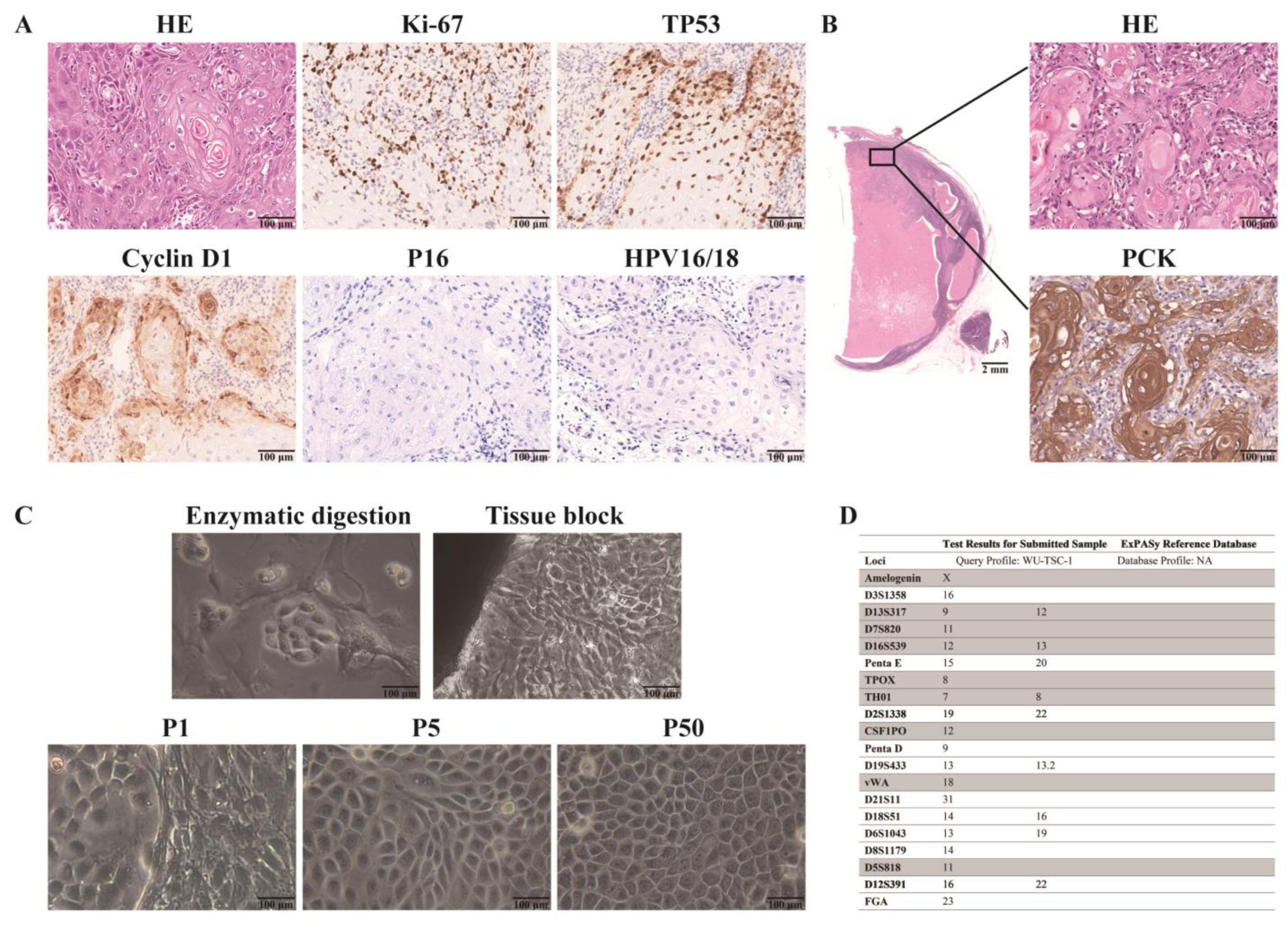 Cells 12 00035 g001 Cells 12 00035 g001