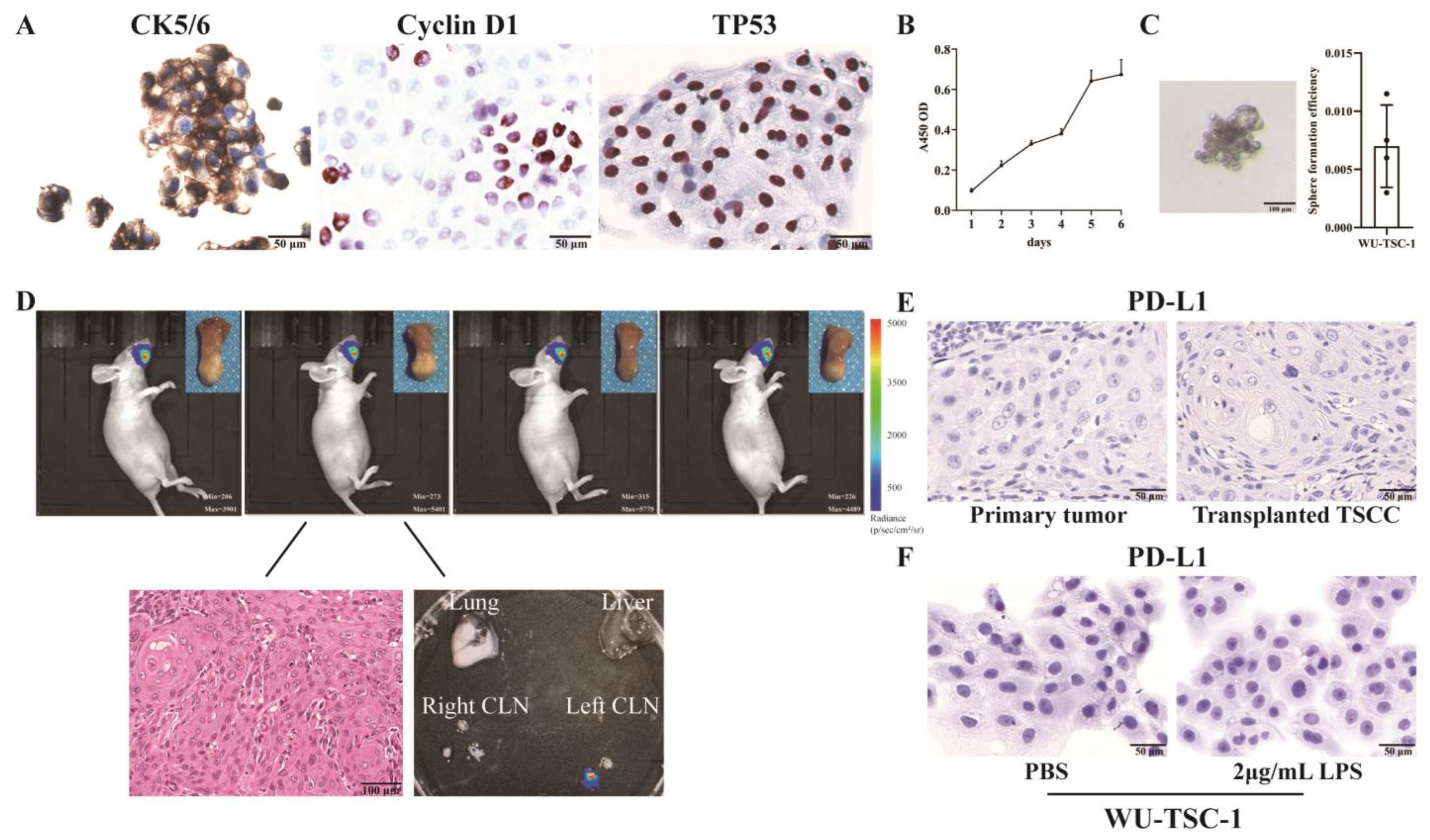 Cells 12 00035 g002 Cells 12 00035 g002