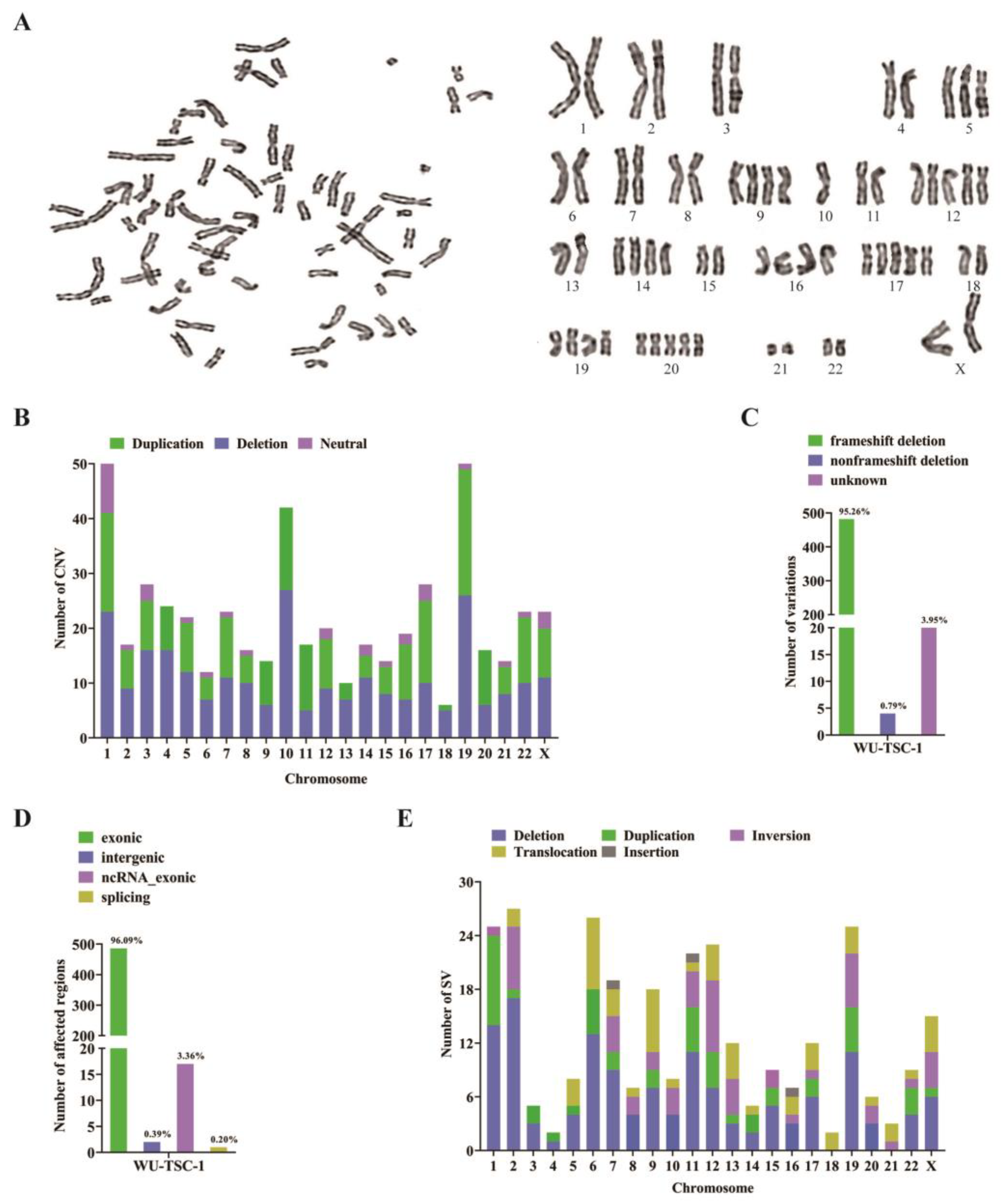Cells 12 00035 g003 Cells 12 00035 g003