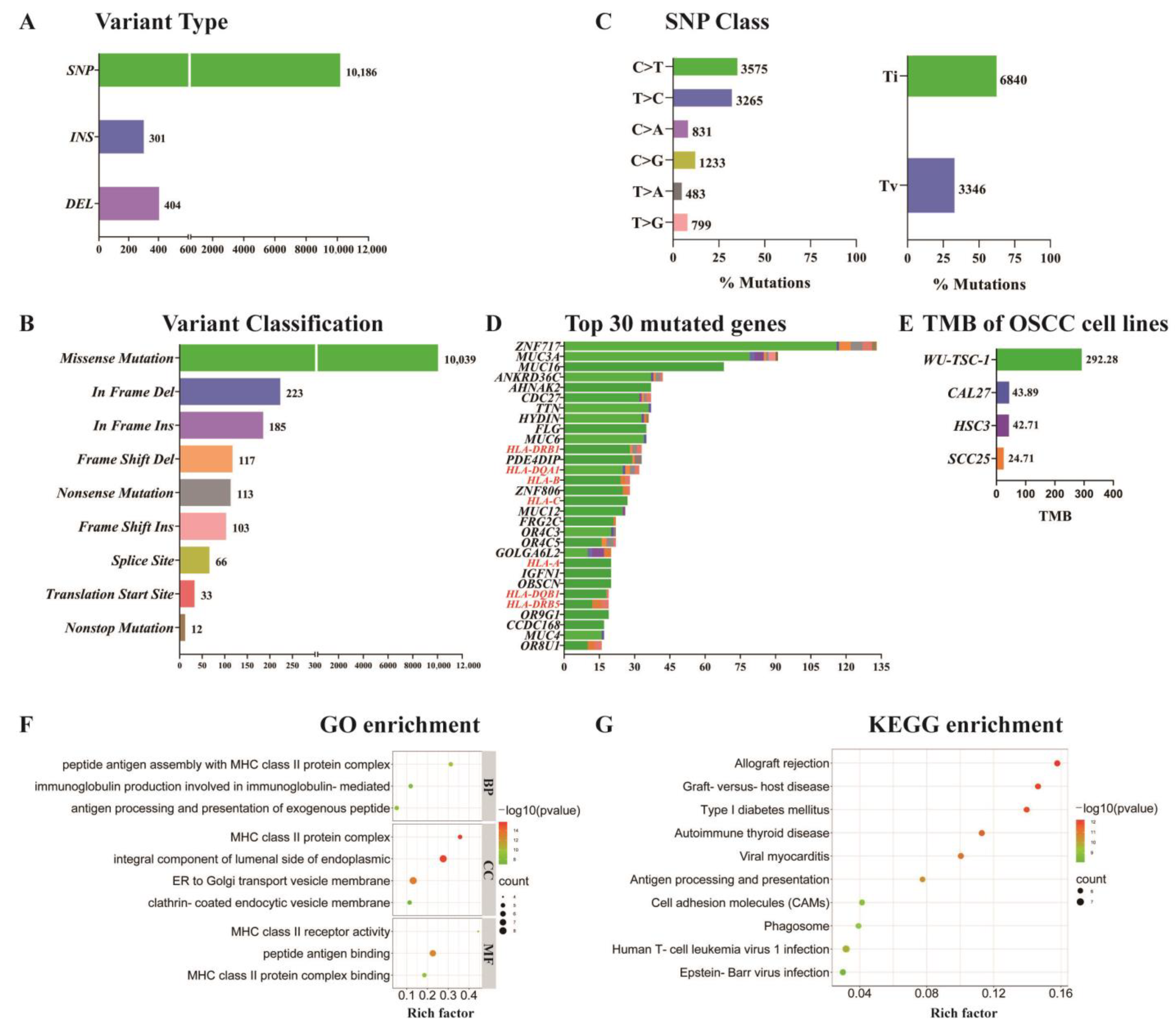 Cells 12 00035 g004 Cells 12 00035 g004