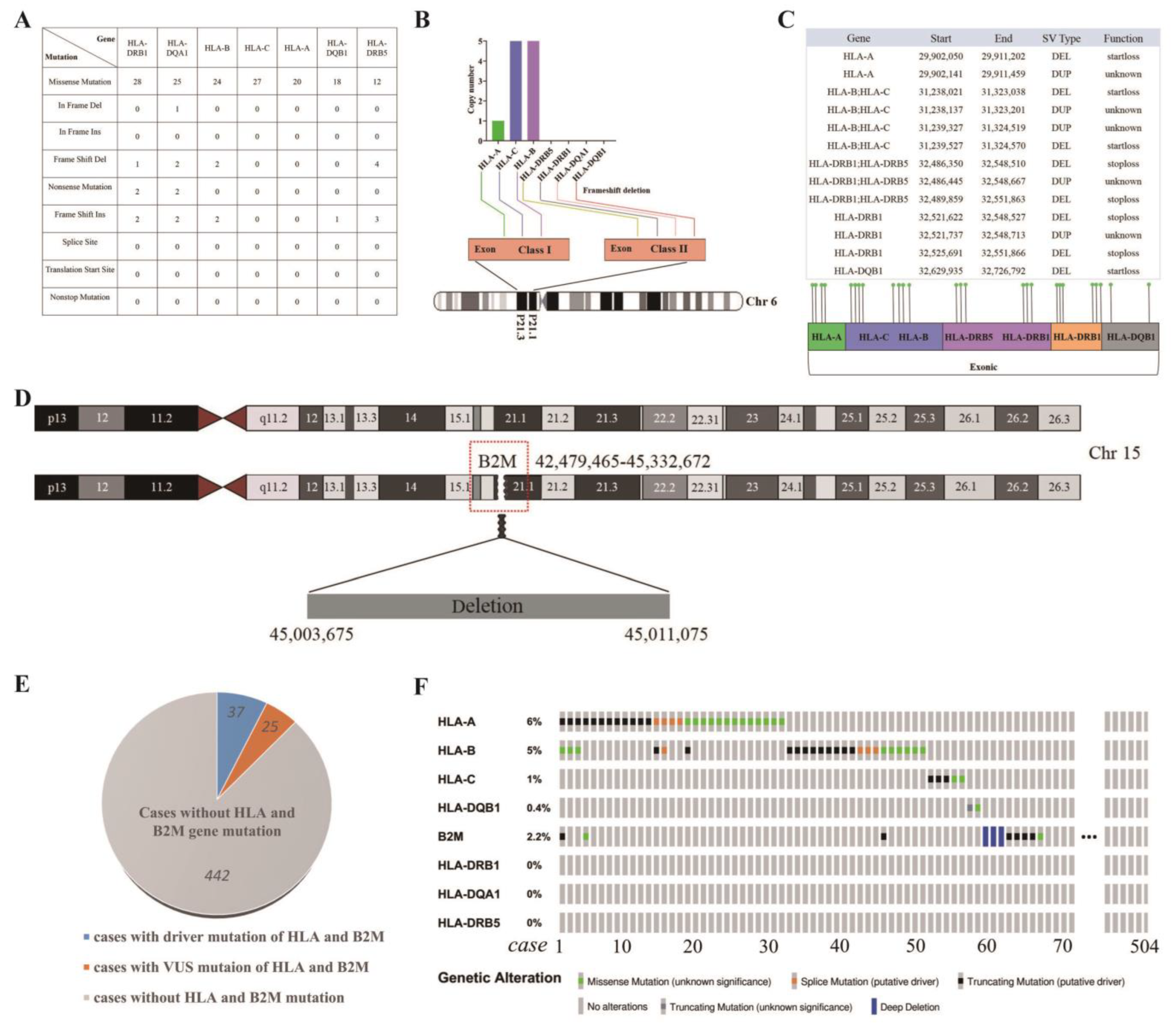 Cells 12 00035 g005 Cells 12 00035 g005