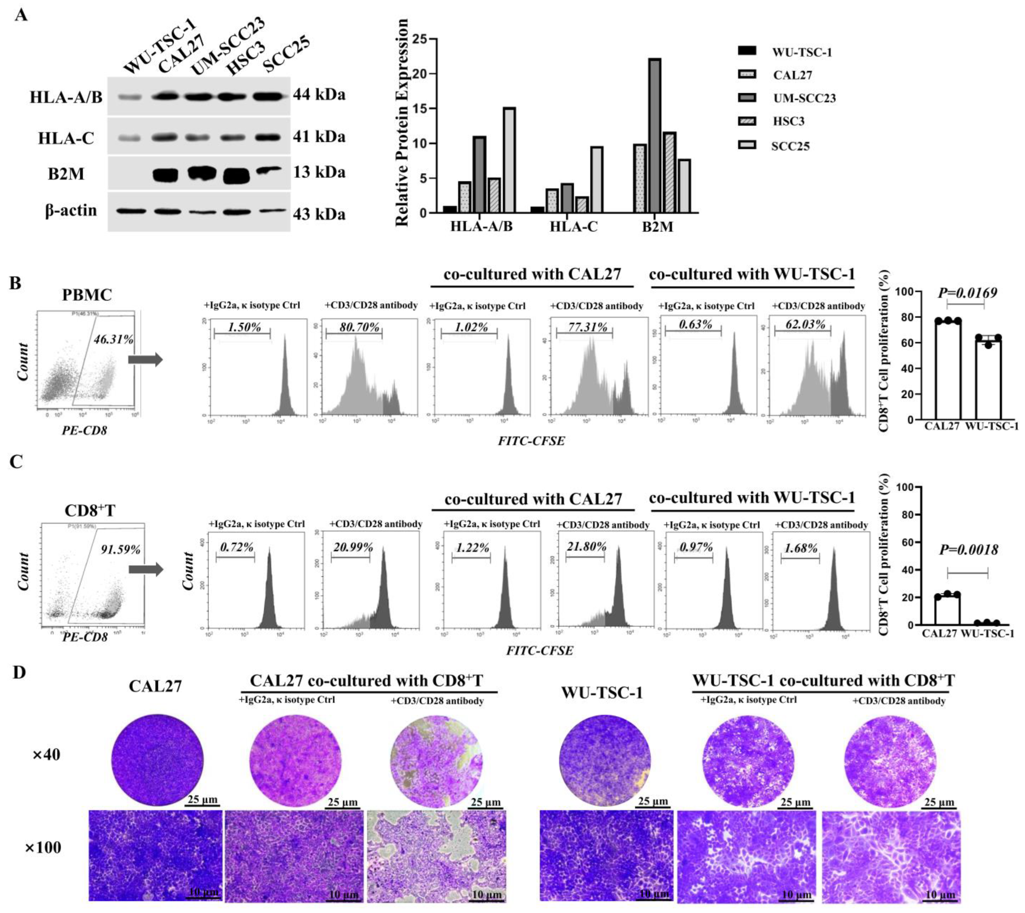Cells 12 00035 g006 Cells 12 00035 g006