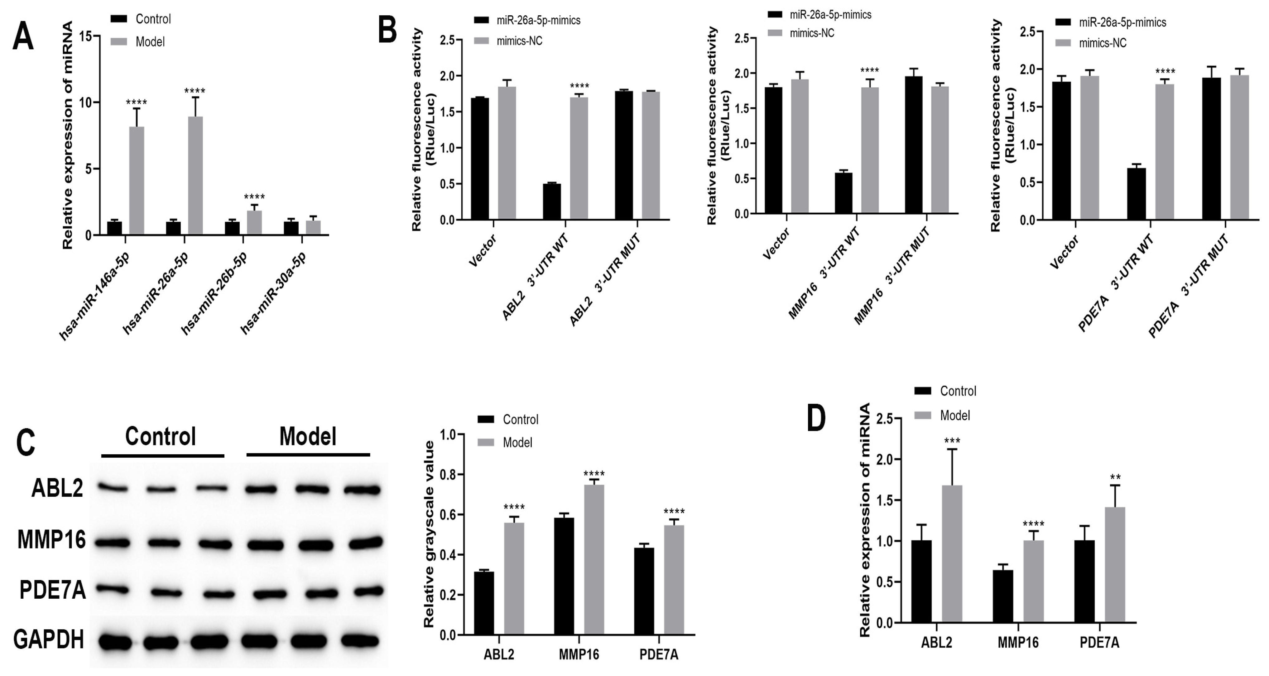 Cells 12 00038 g001 Cells 12 00038 g001