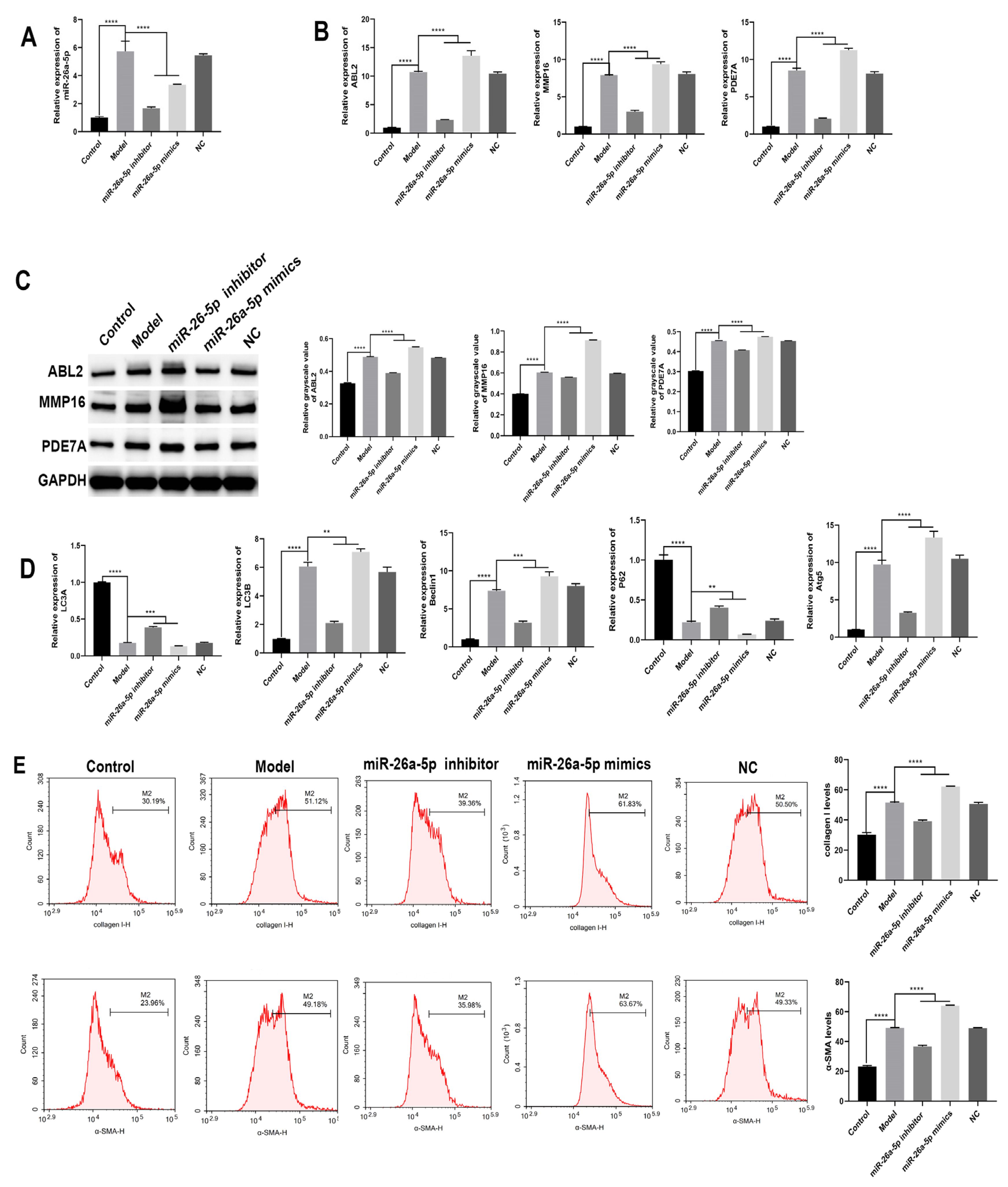 Cells 12 00038 g006 Cells 12 00038 g006