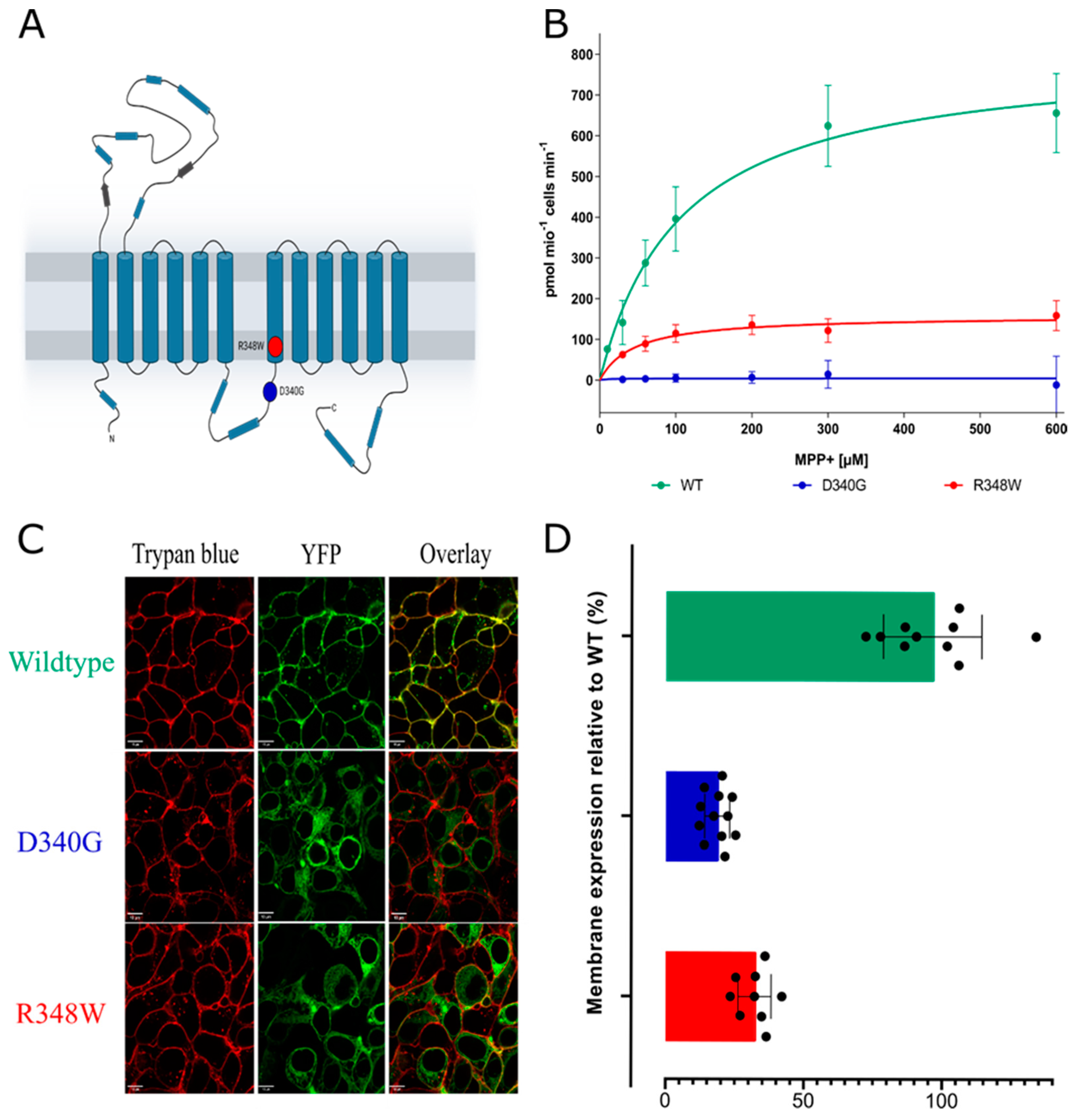 Cells 12 00039 g001 Cells 12 00039 g001
