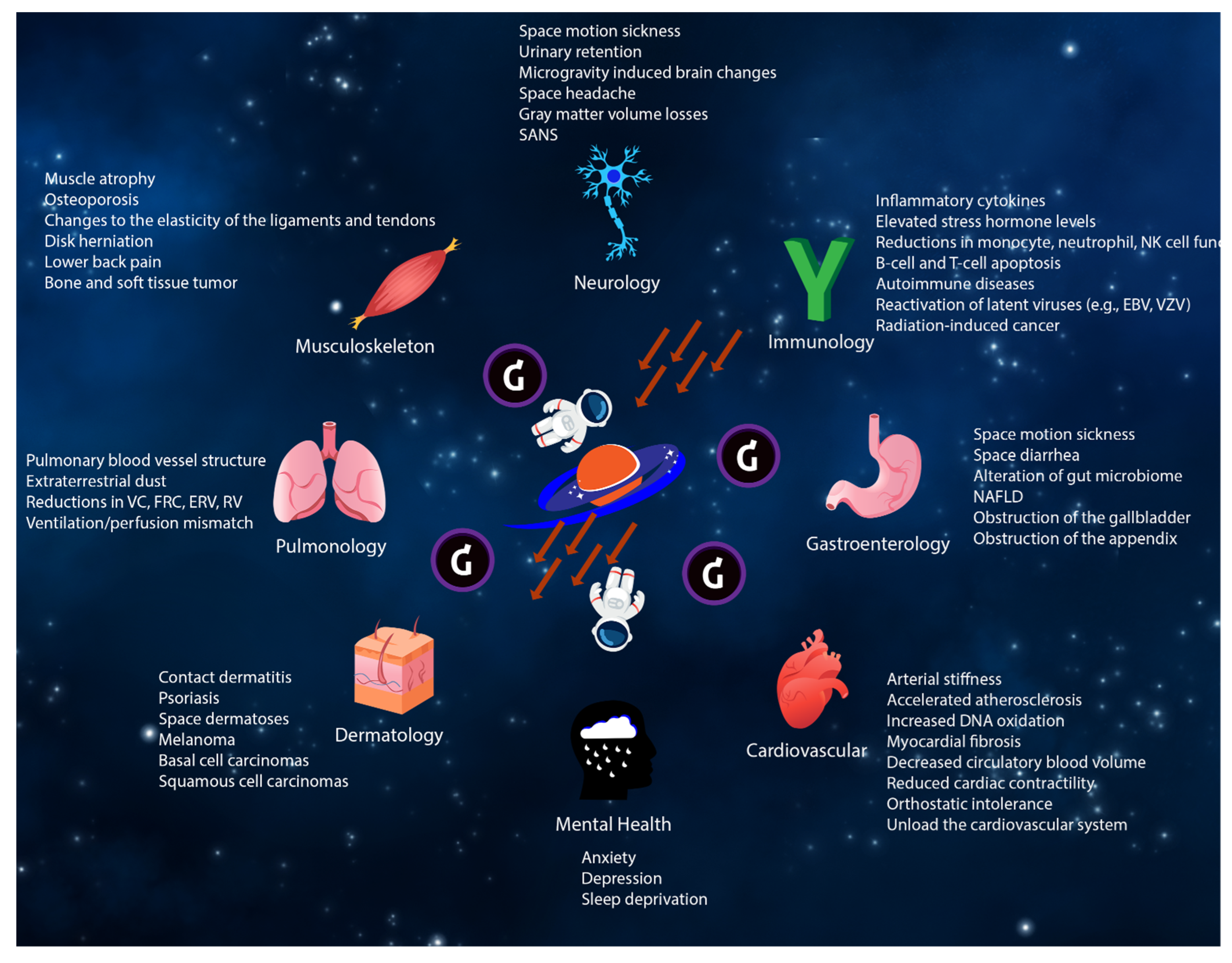 Şekil 1. Uzay ortamının her organ sistemi üzerindeki potansiyel etkileri.
