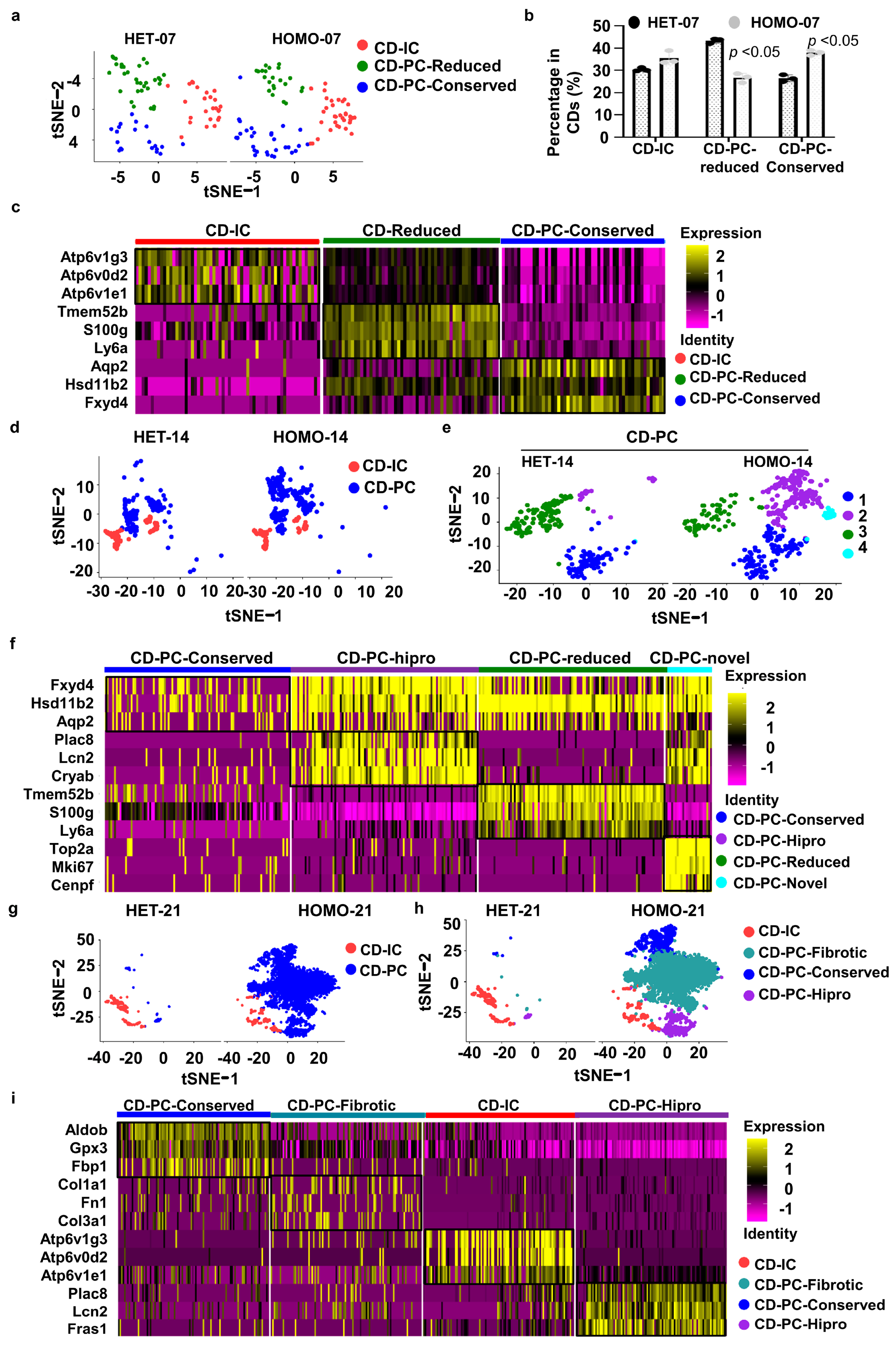 Cells 12 00045 g002 Cells 12 00045 g002