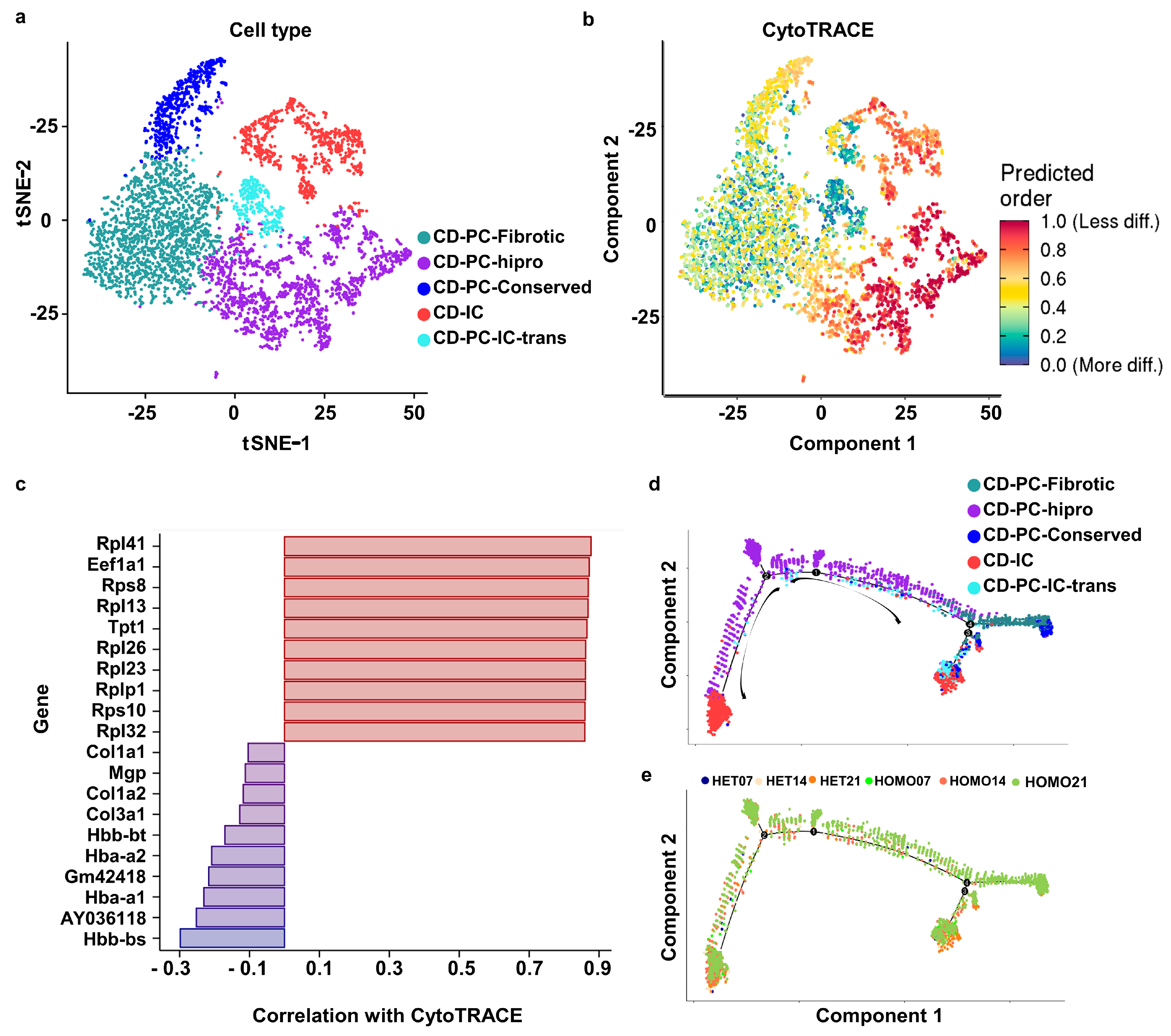 Cells 12 00045 g004 Cells 12 00045 g004