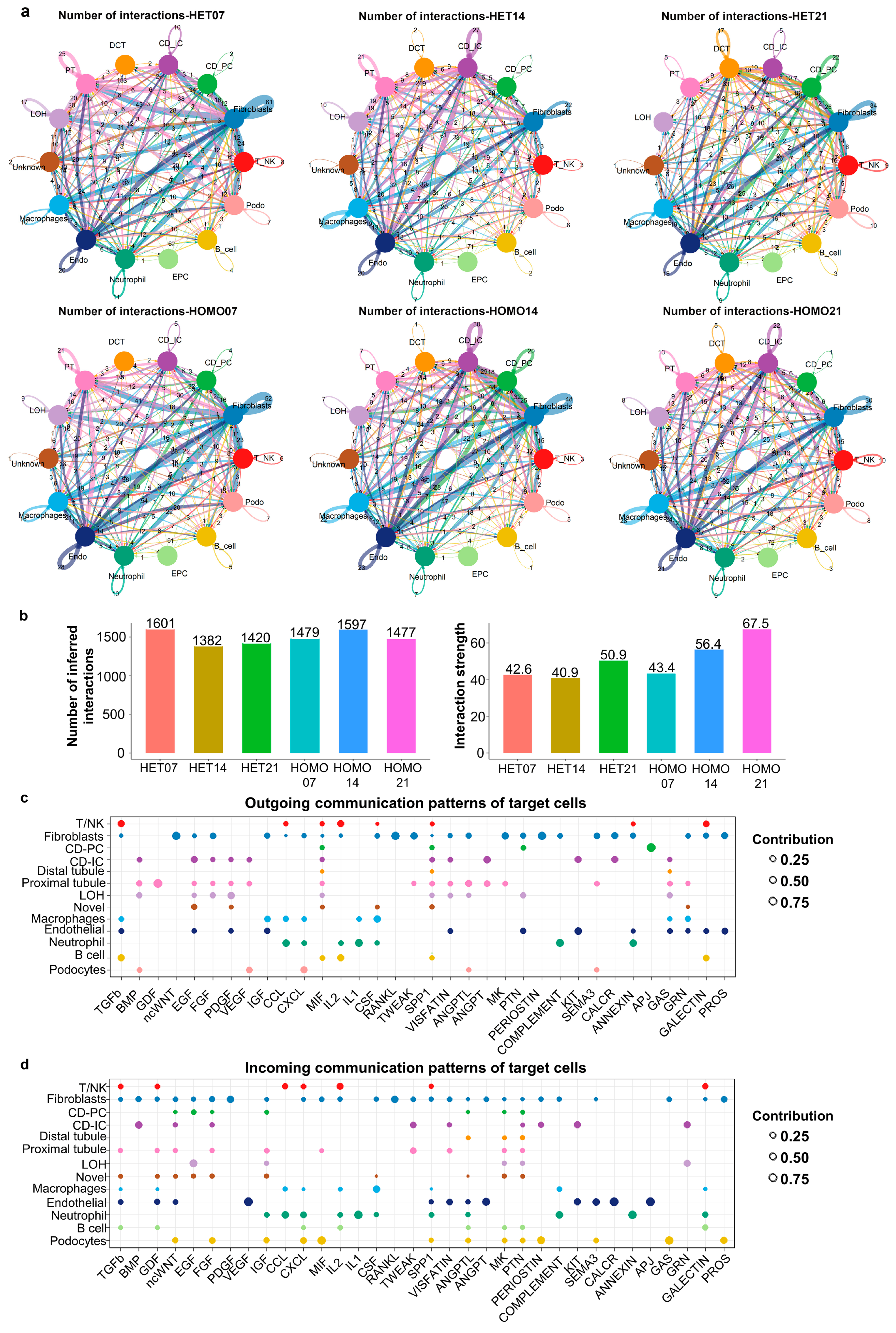 Cells 12 00045 g006 Cells 12 00045 g006