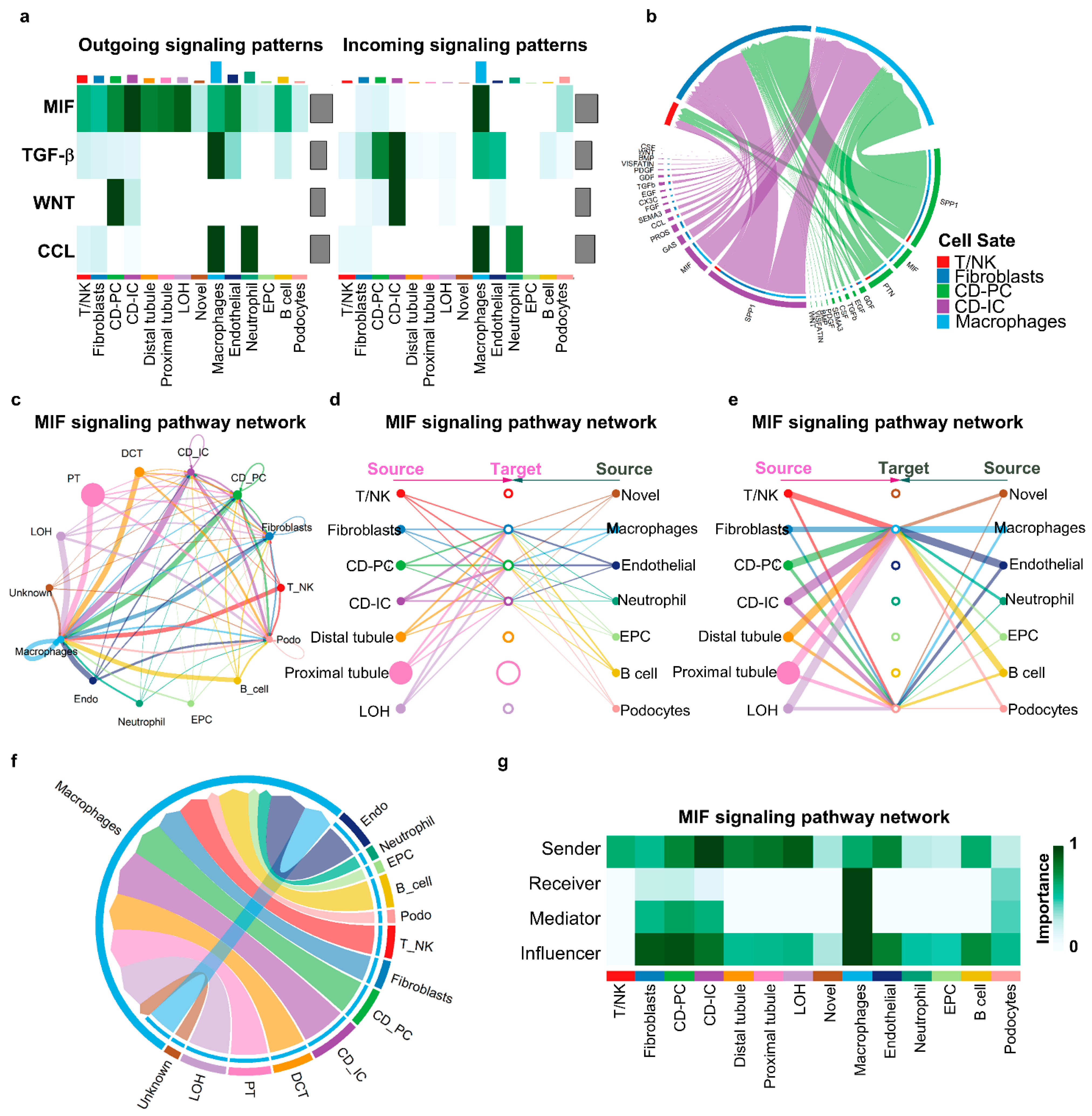 Cells 12 00045 g007 Cells 12 00045 g007