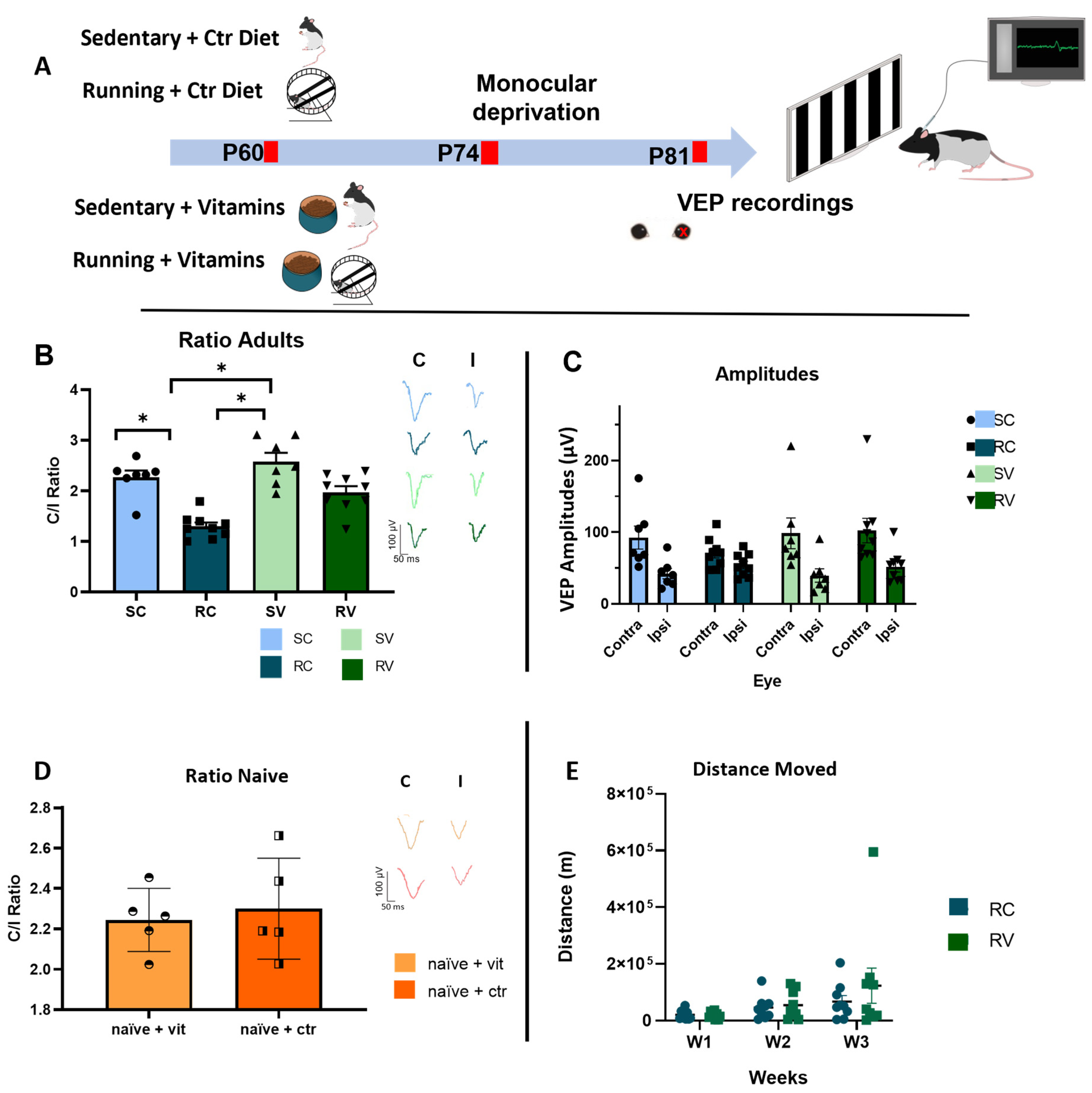 Cells 12 00048 g001 Cells 12 00048 g001