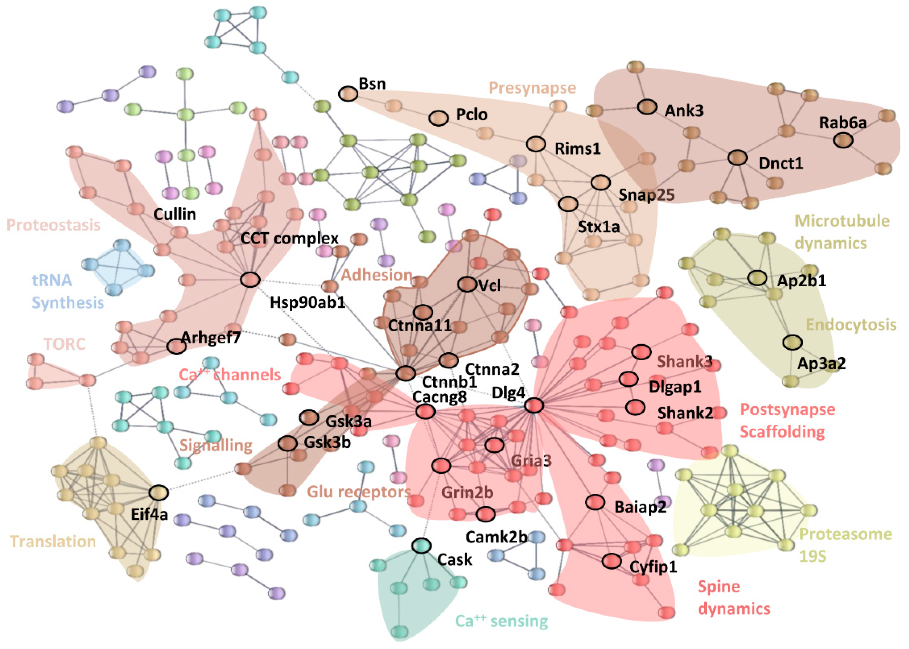 Cells 12 00048 g005 Cells 12 00048 g005
