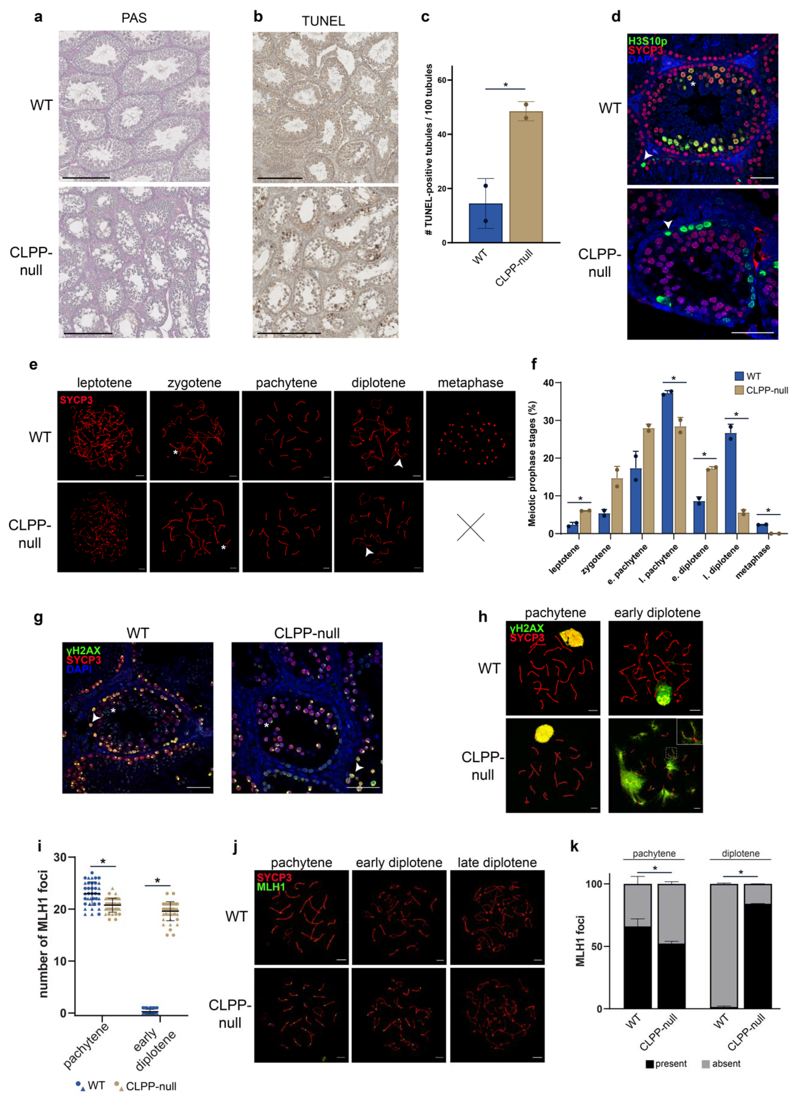 Cells 12 00052 g001 Cells 12 00052 g001