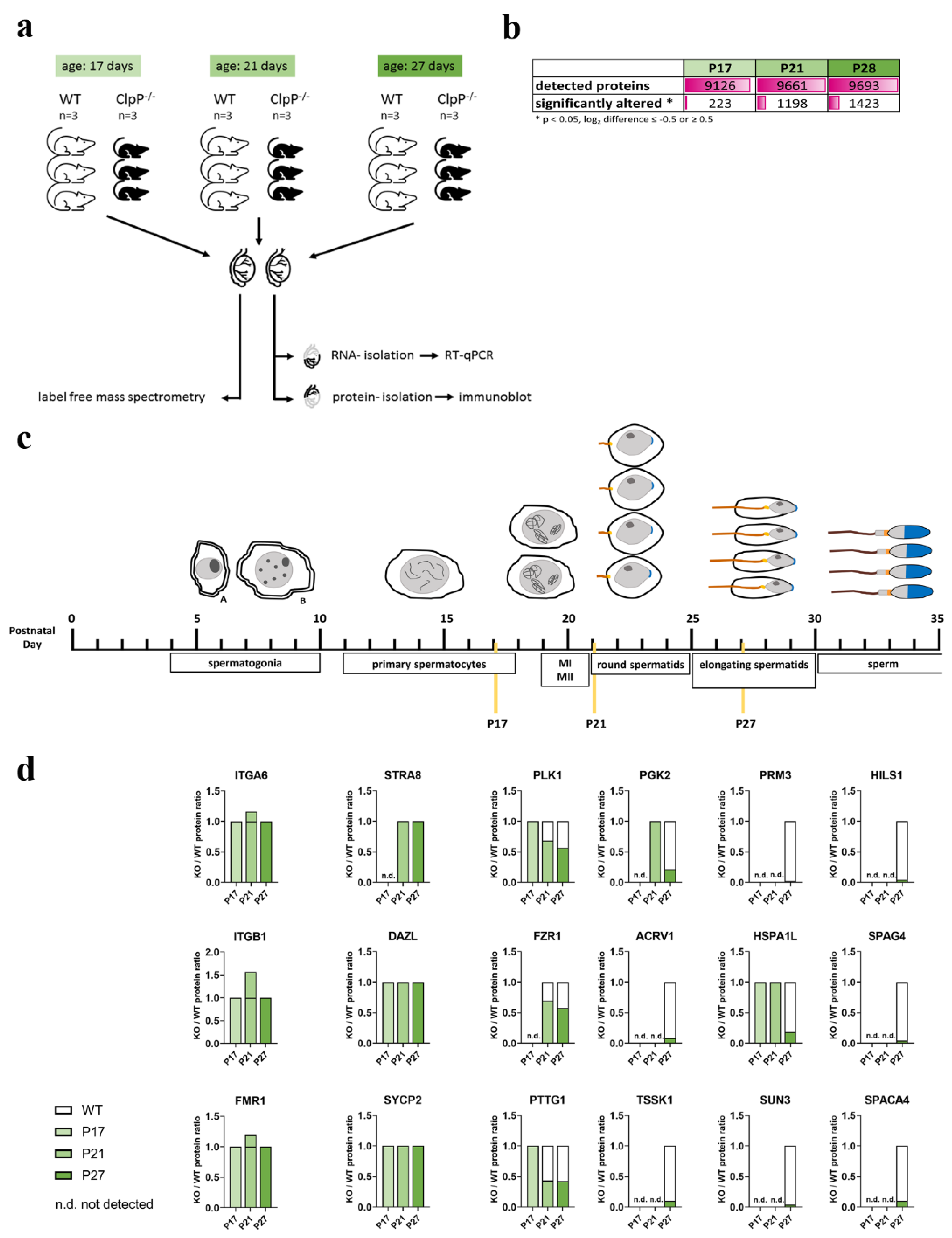 Cells 12 00052 g002 Cells 12 00052 g002