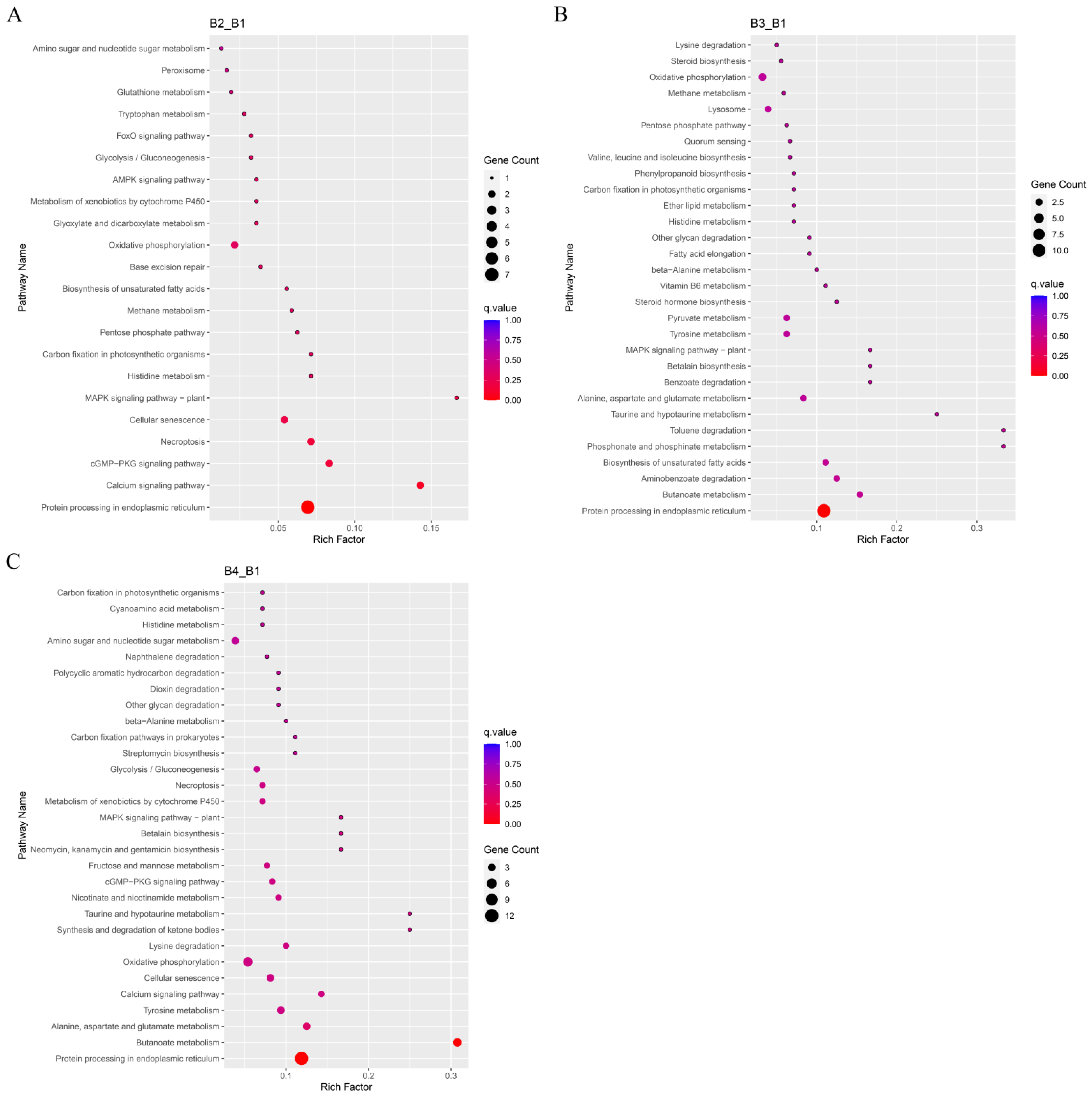 Cells 12 00056 g008 Cells 12 00056 g008