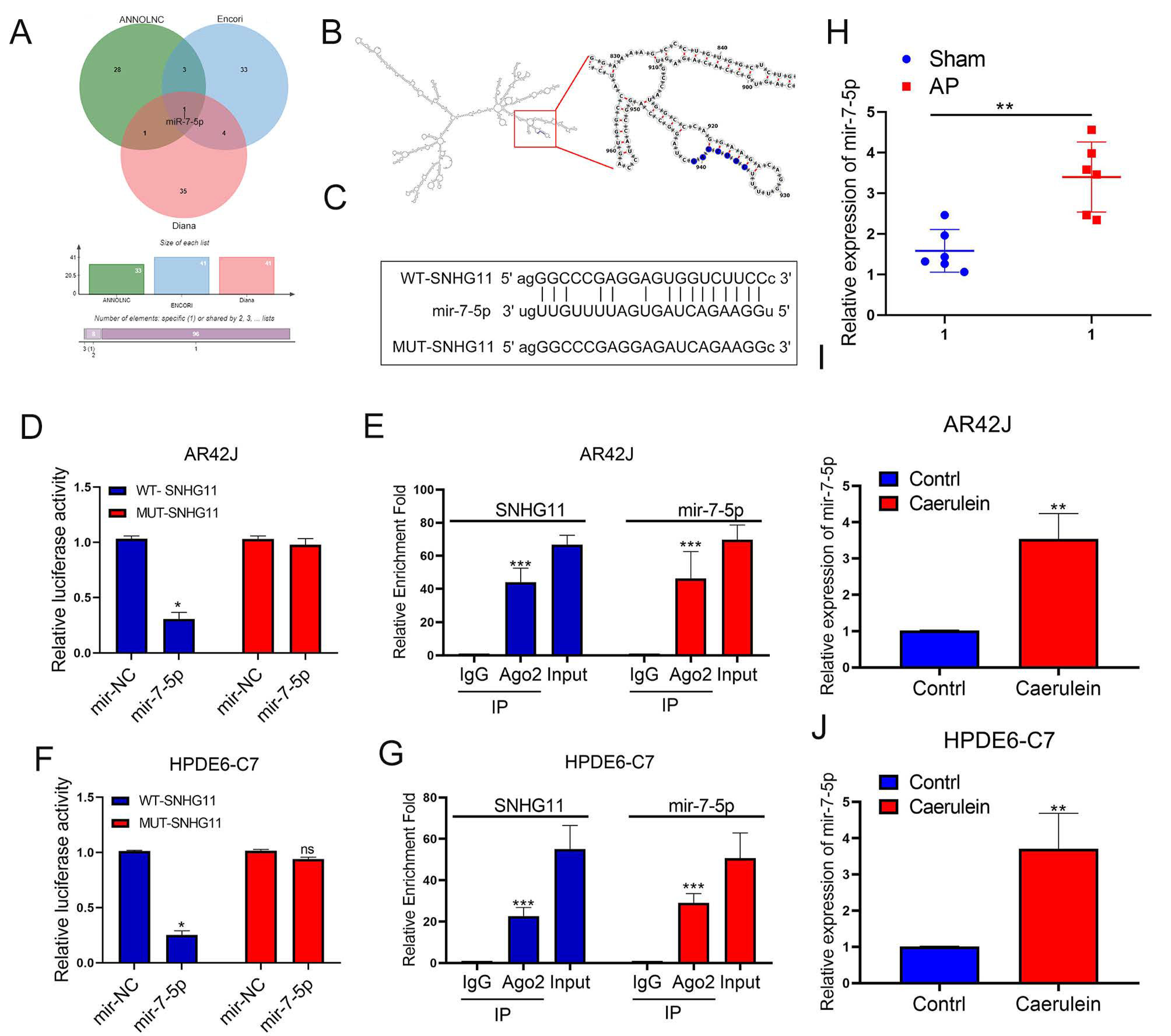 Cells 12 00065 g003 Cells 12 00065 g003