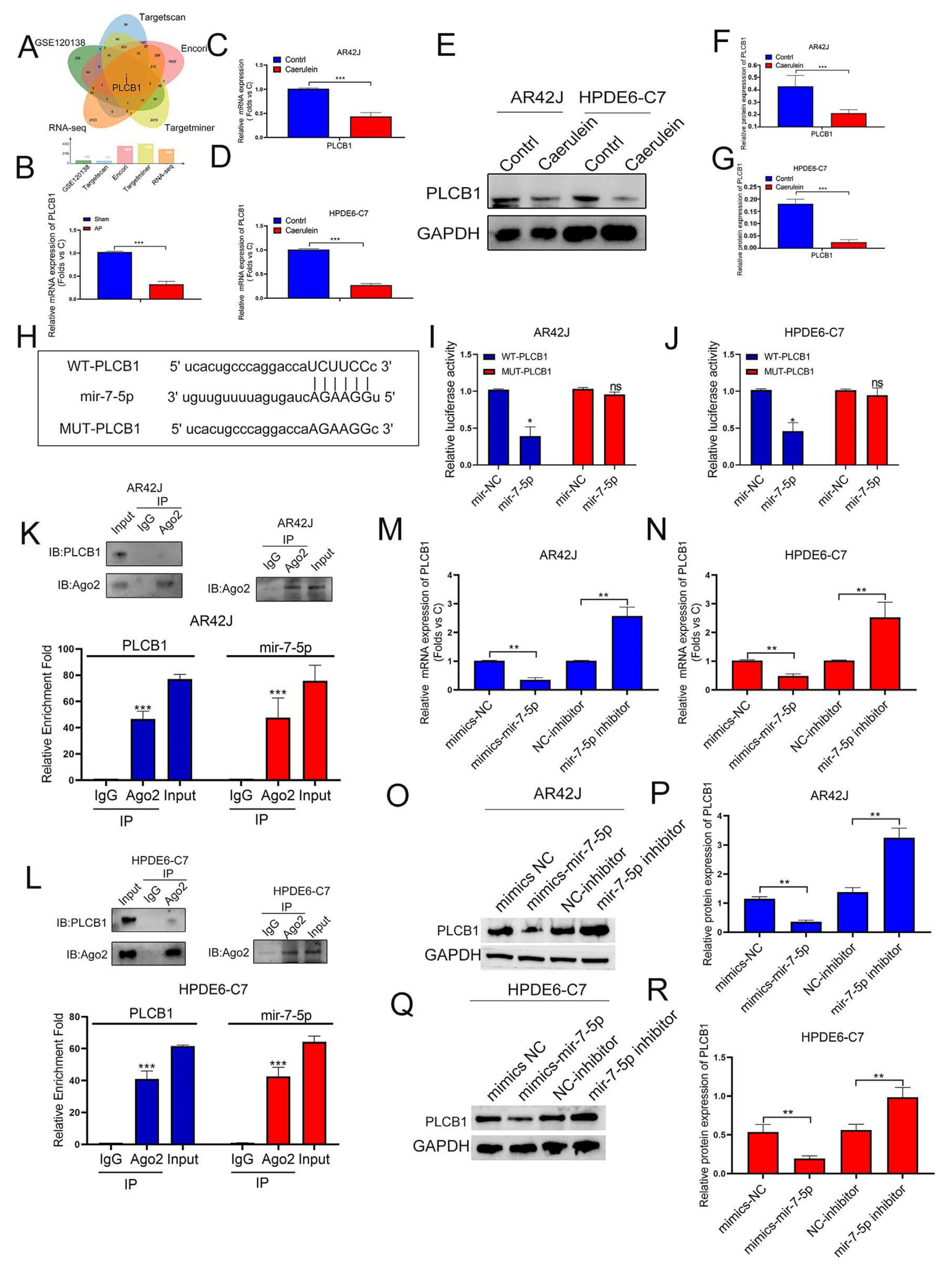 Cells 12 00065 g005 Cells 12 00065 g005