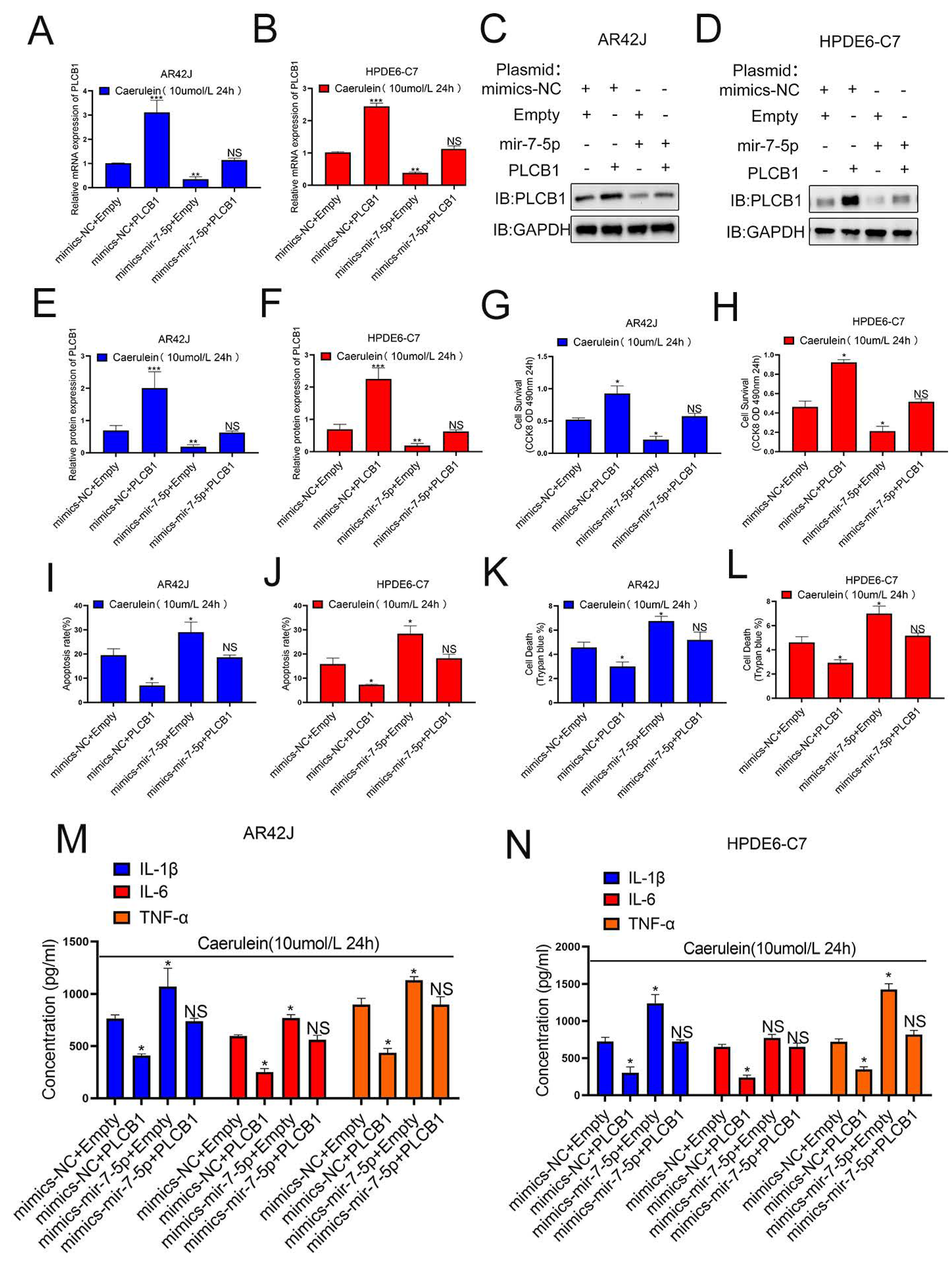 Cells 12 00065 g006 Cells 12 00065 g006