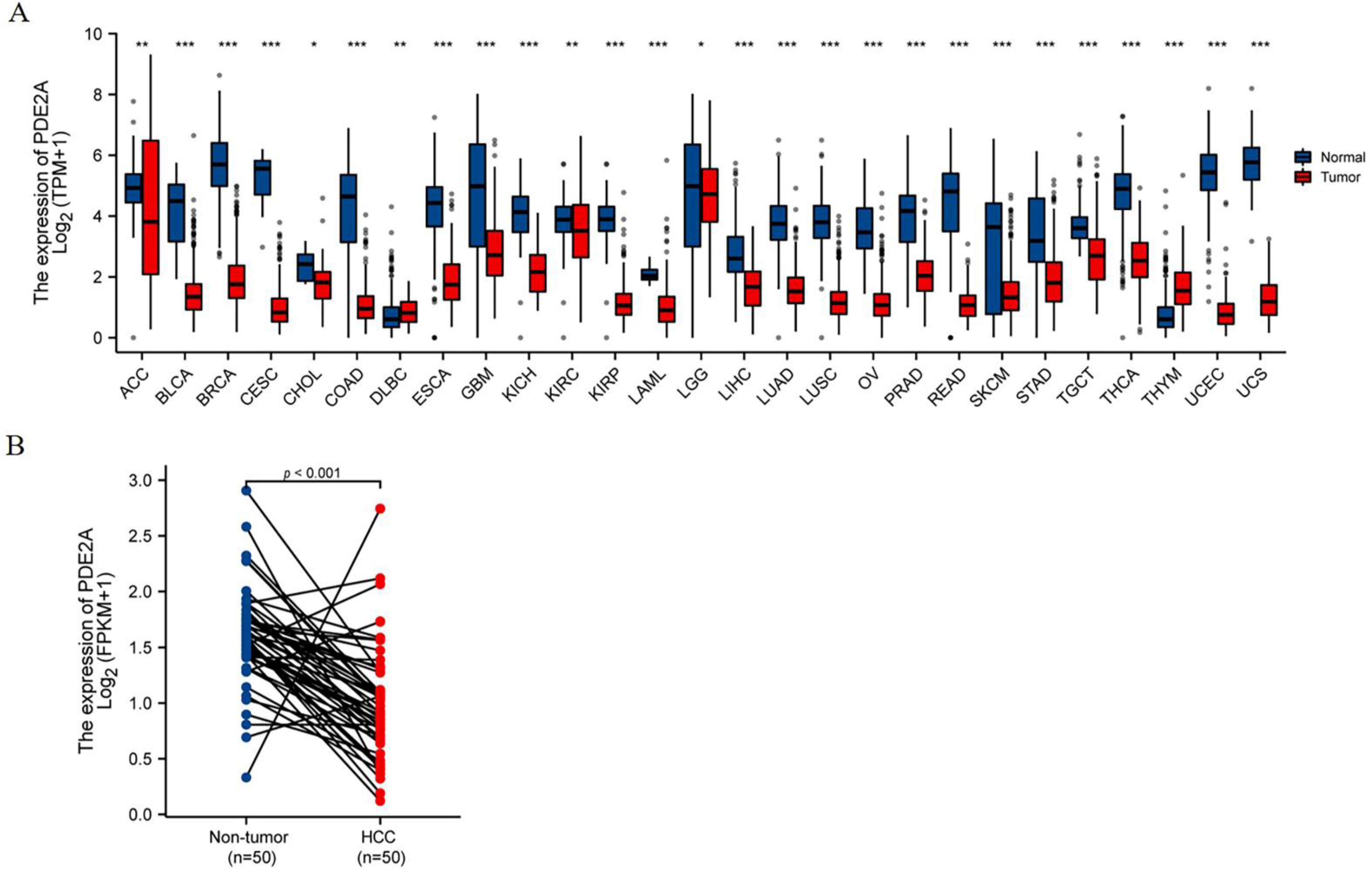 Cells 12 00068 g001 Cells 12 00068 g001