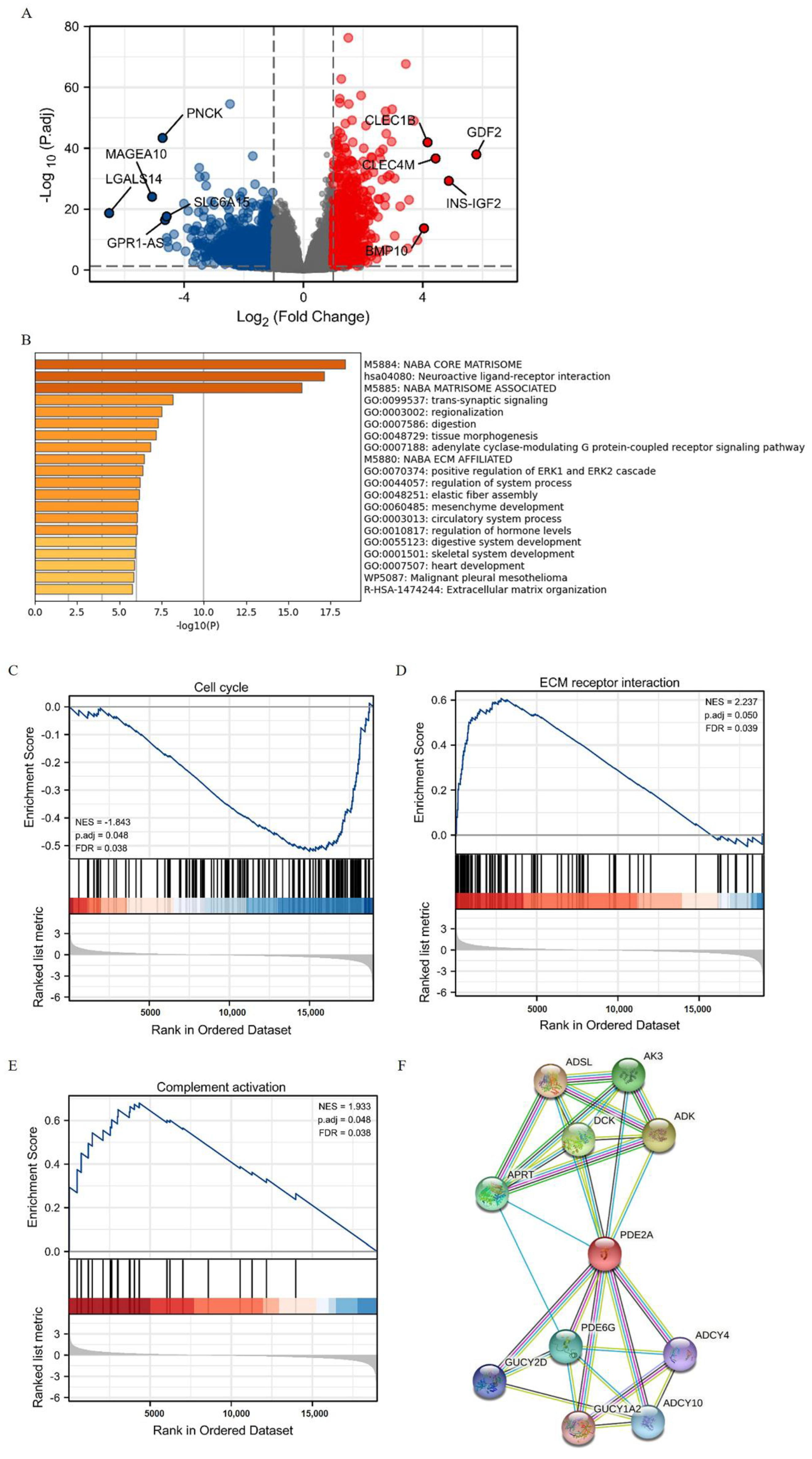 Cells 12 00068 g002 Cells 12 00068 g002