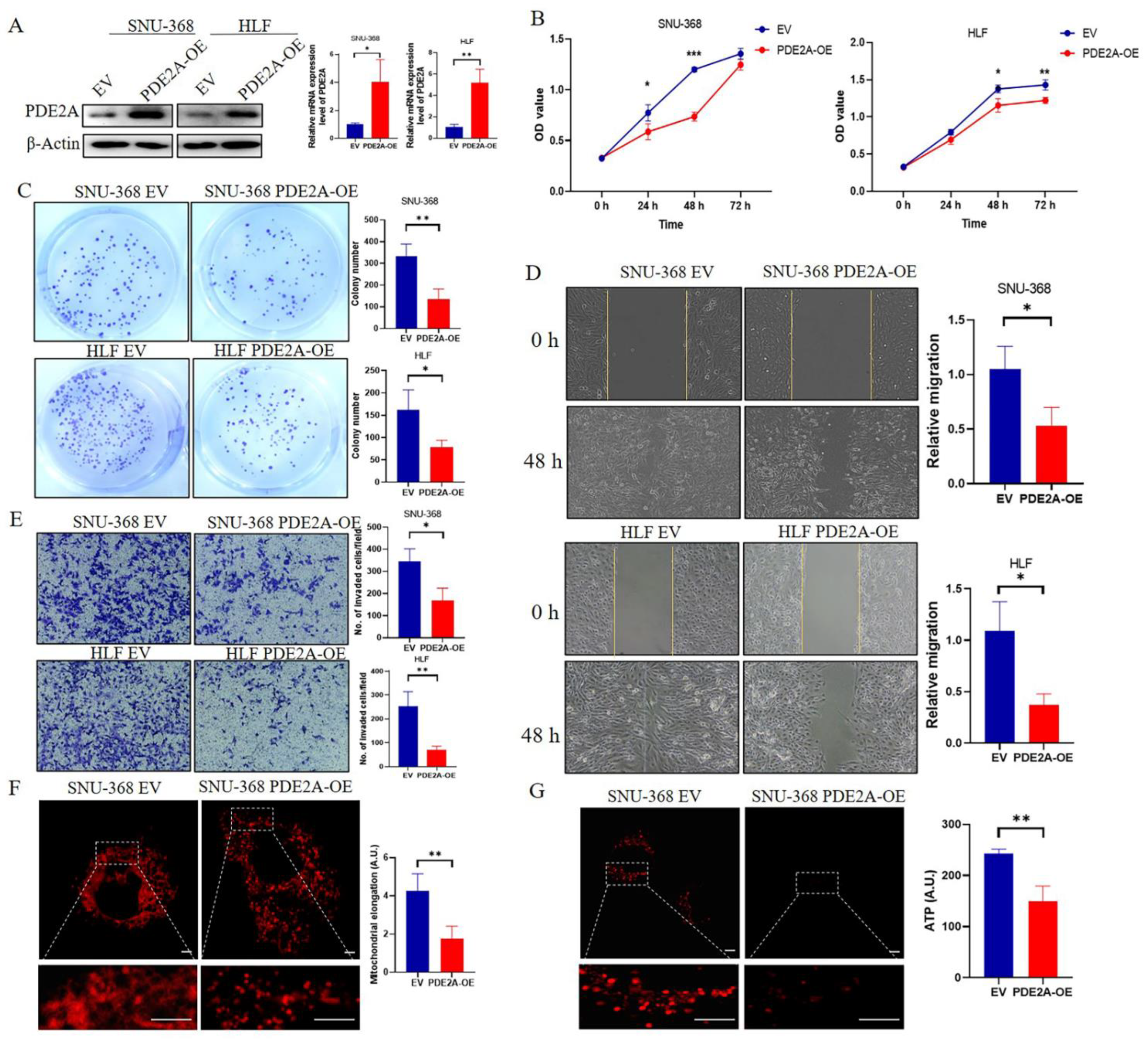 Cells 12 00068 g006 Cells 12 00068 g006