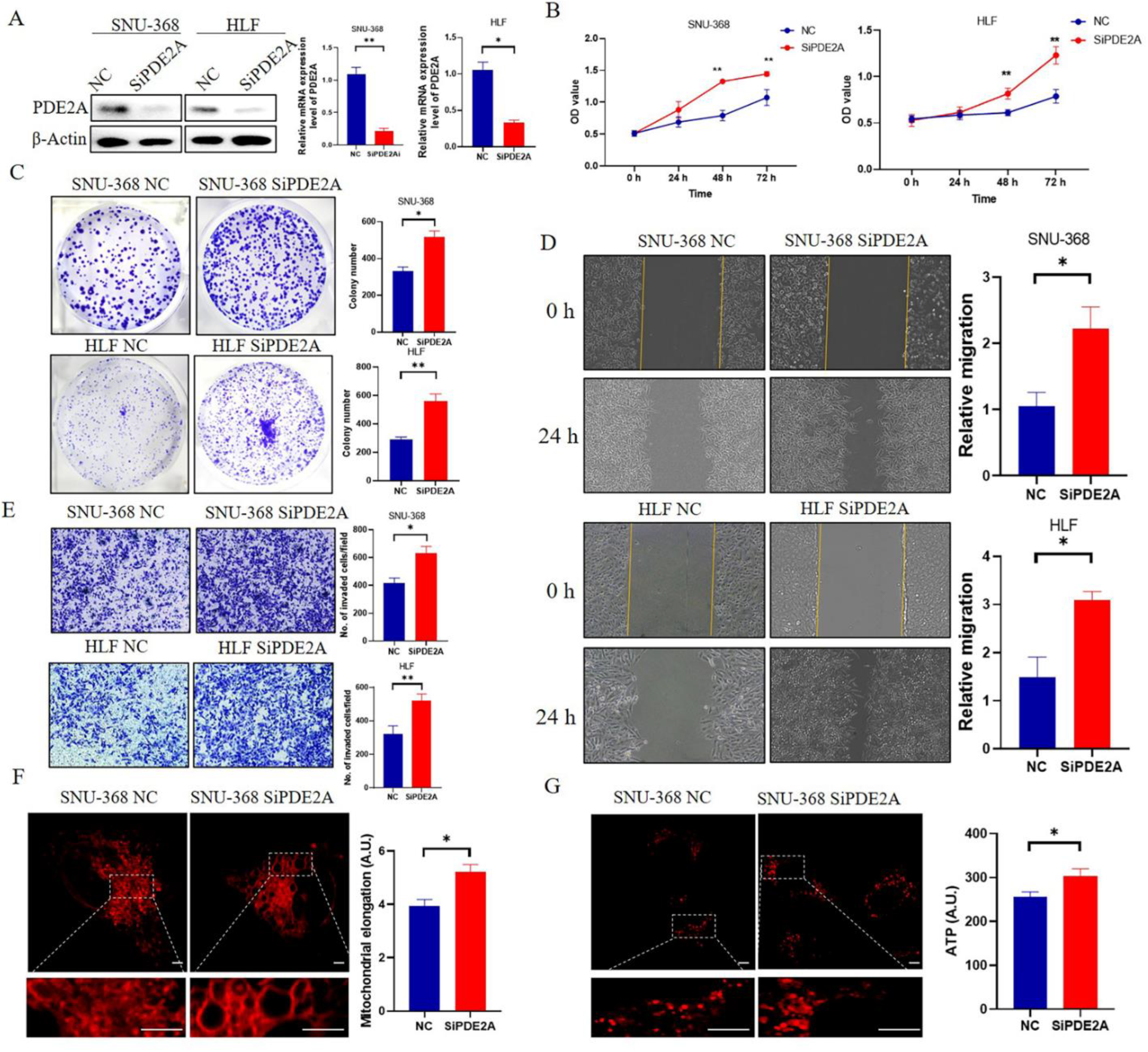Cells 12 00068 g007 Cells 12 00068 g007