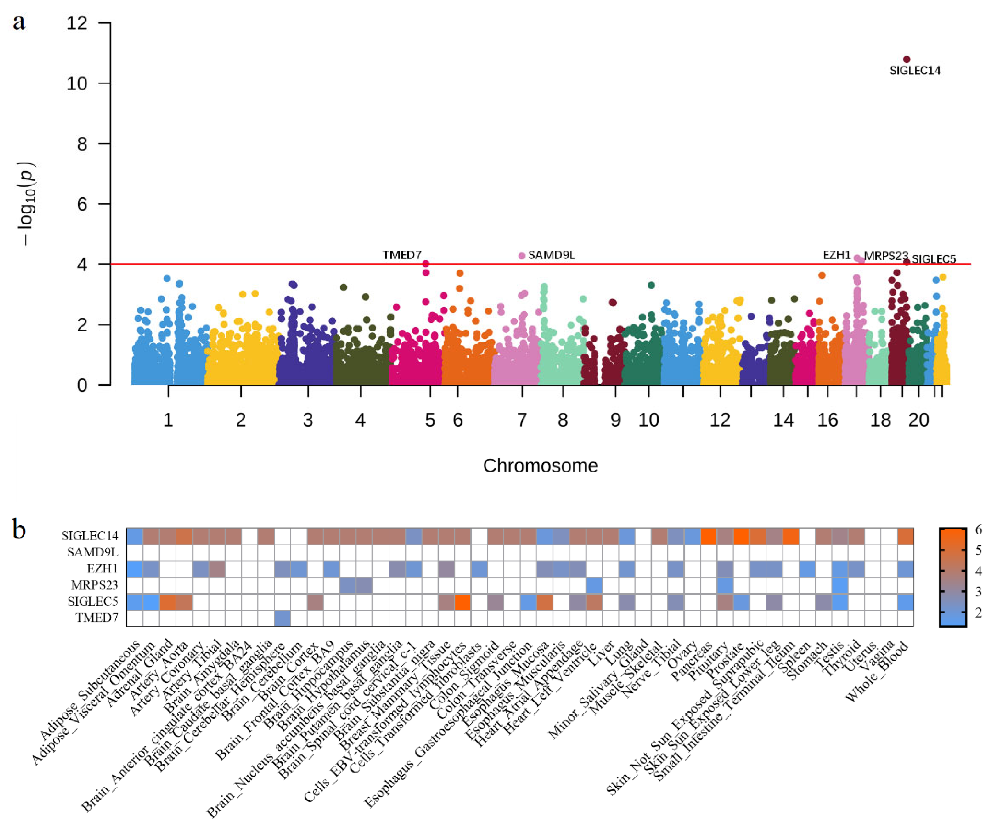 Genome- and Transcriptome-Wide Association Studies Identify ...