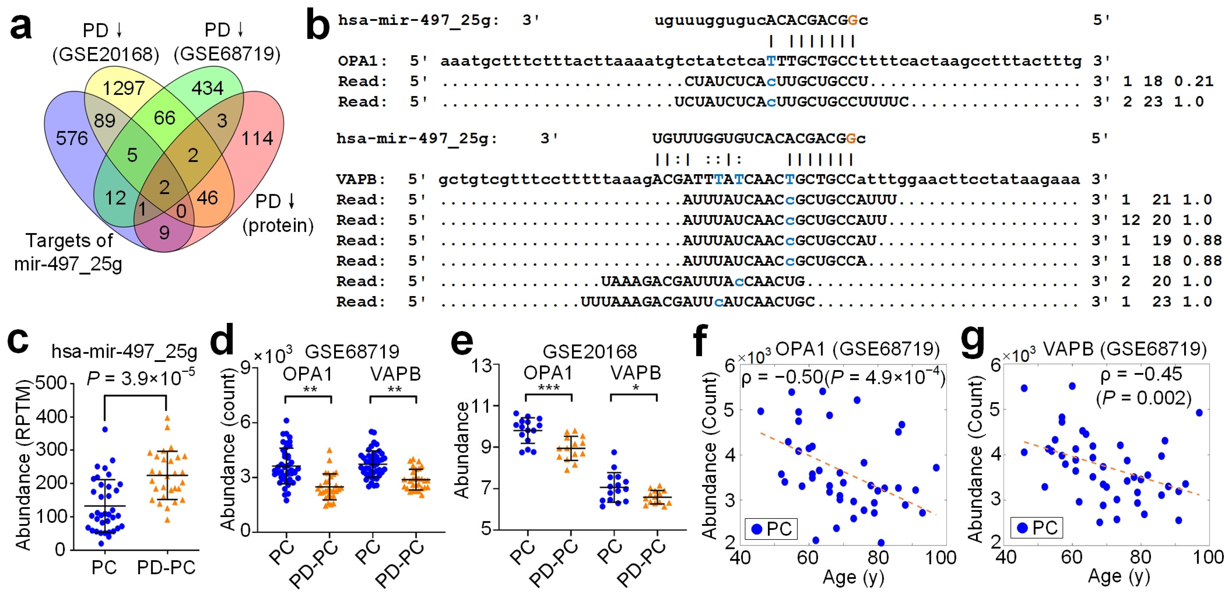 Cells 12 00075 g003 Cells 12 00075 g003