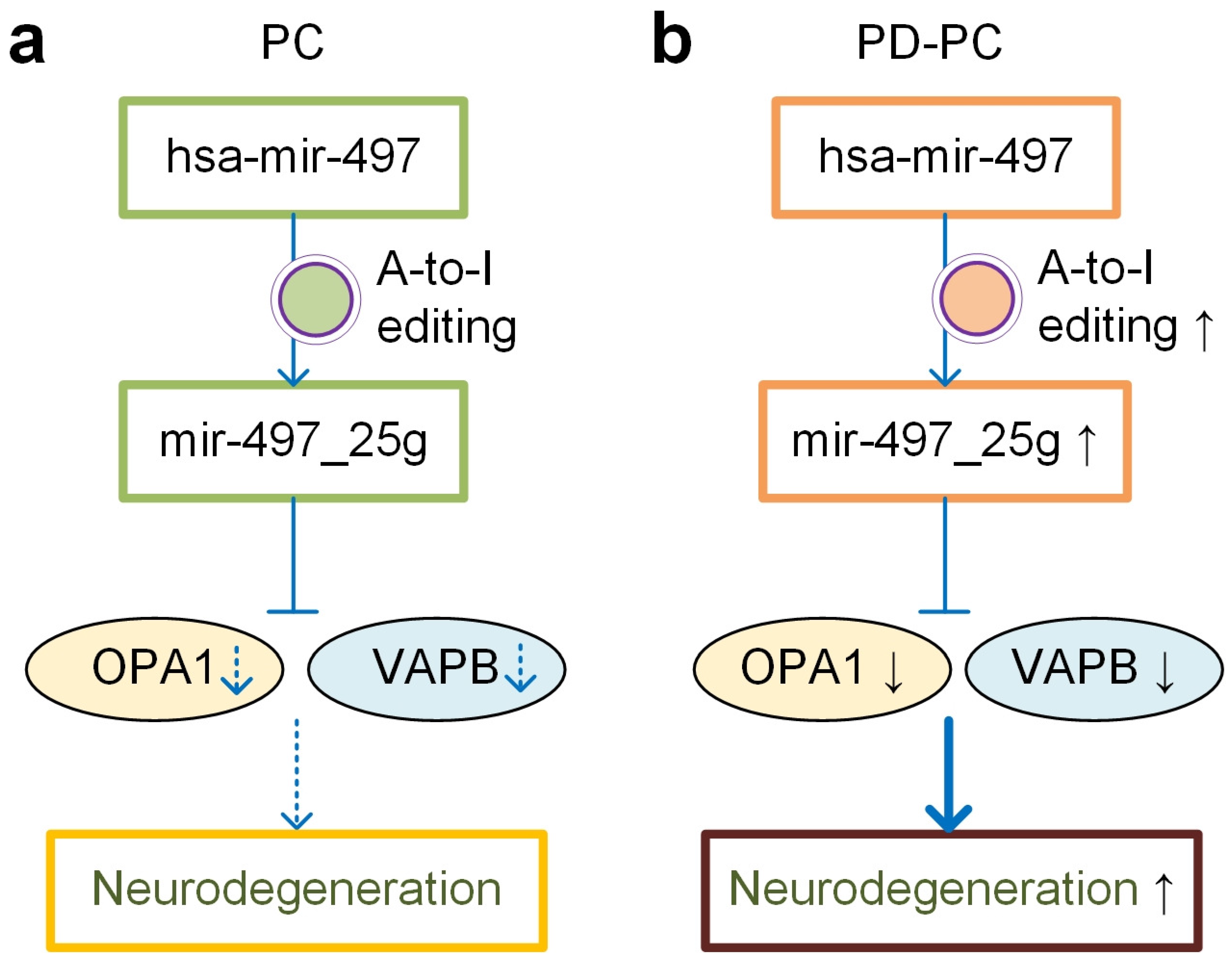Cells 12 00075 g006 Cells 12 00075 g006