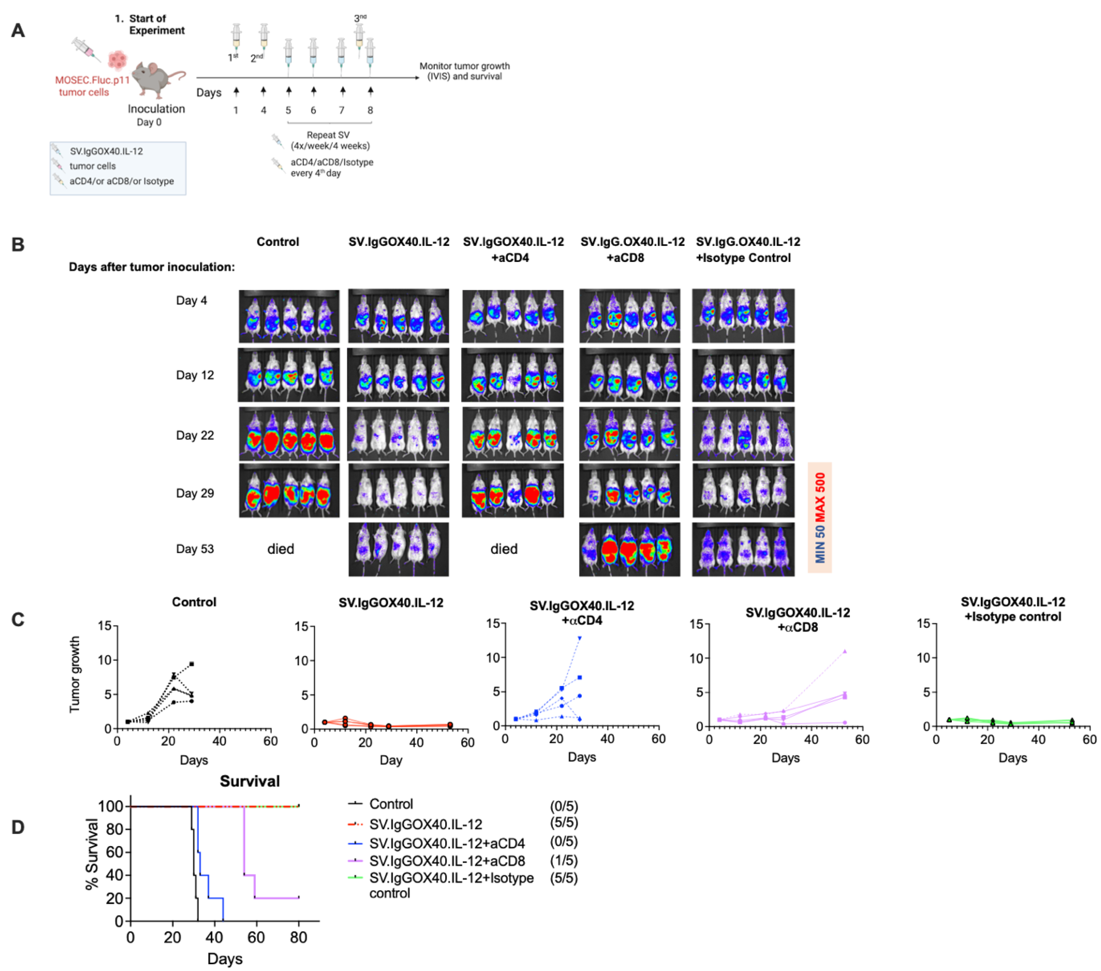 Cells 12 00077 g006 Cells 12 00077 g006