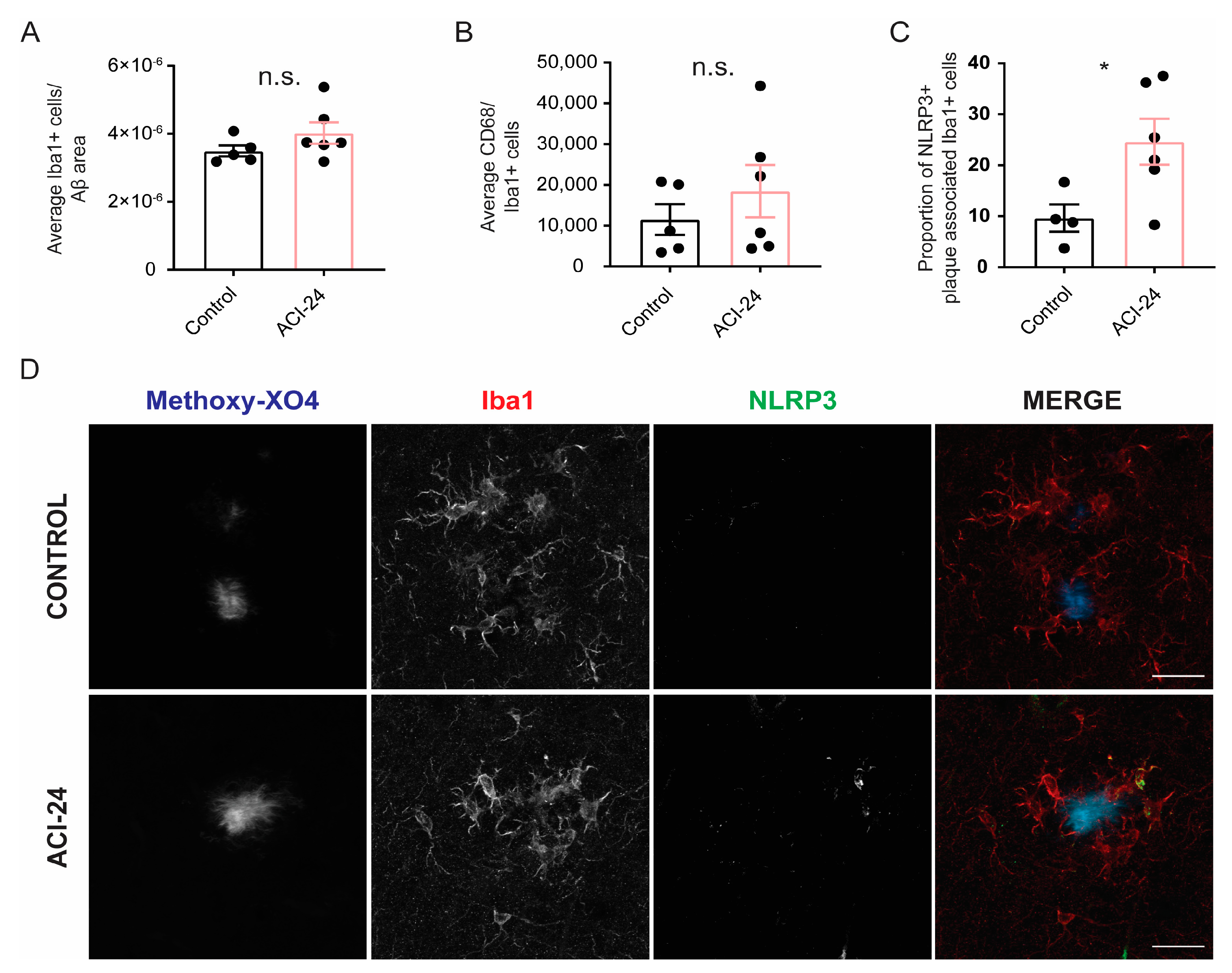 Cells 12 00079 g003 Cells 12 00079 g003