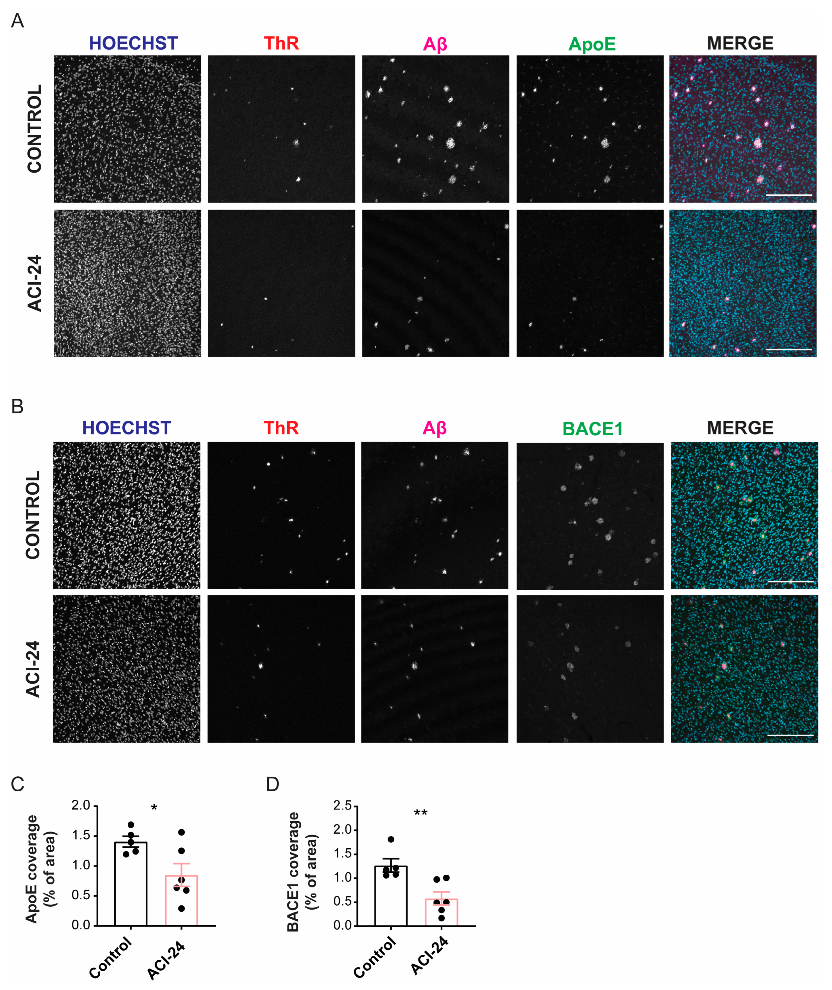 Cells 12 00079 g006 Cells 12 00079 g006