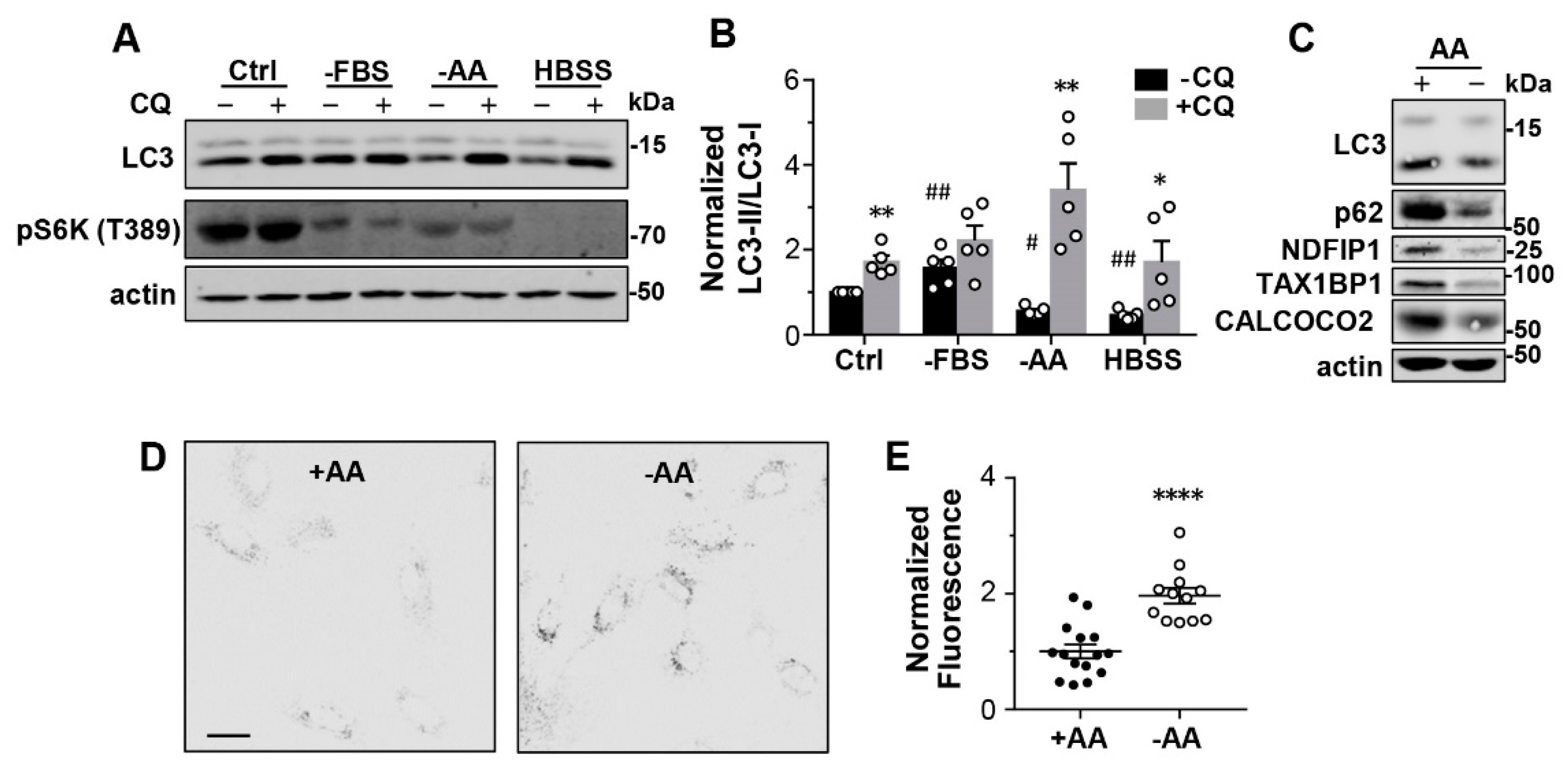 Cells 12 00080 g001 Cells 12 00080 g001